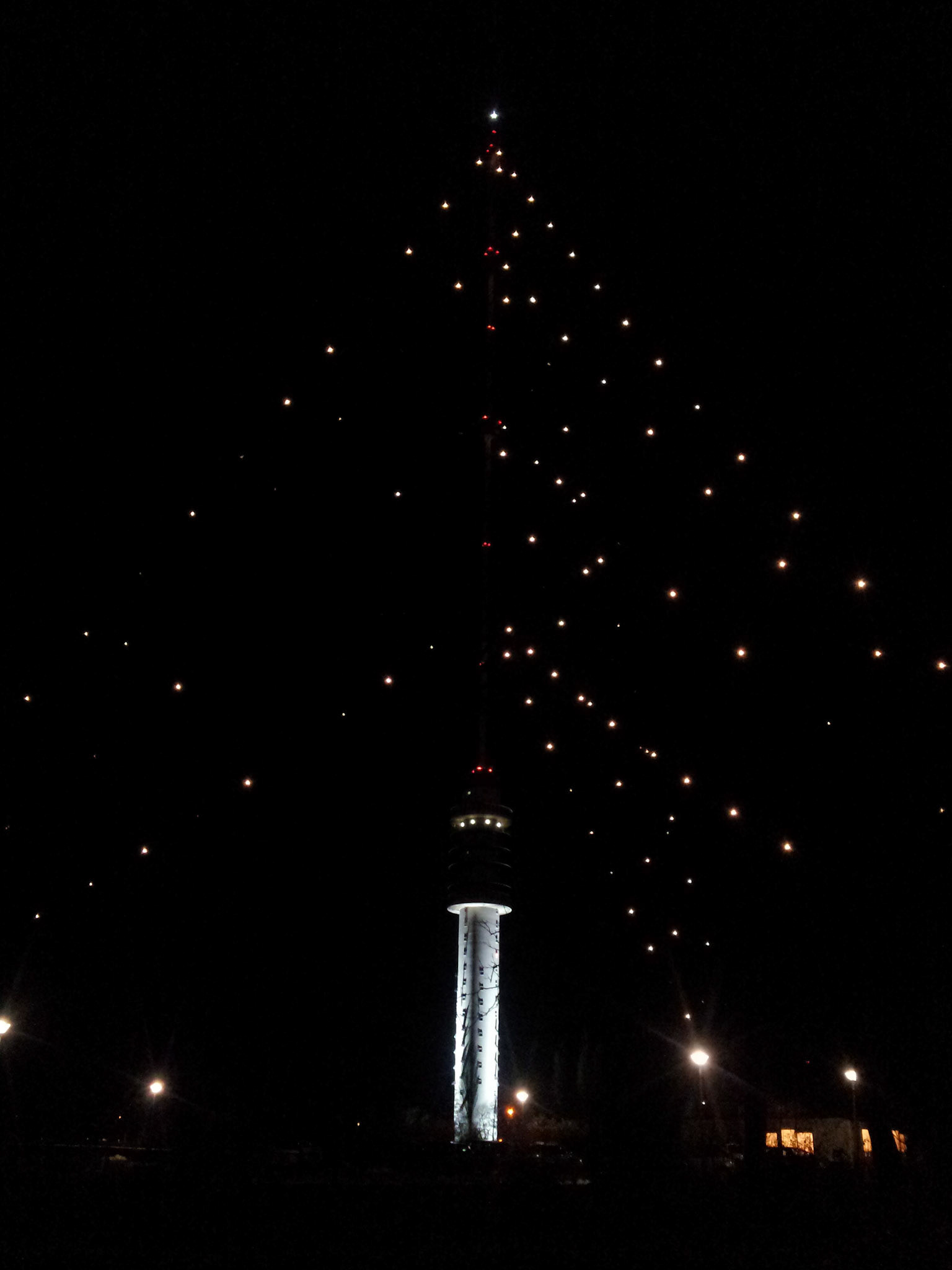 Grootste kerstboom van de wereld