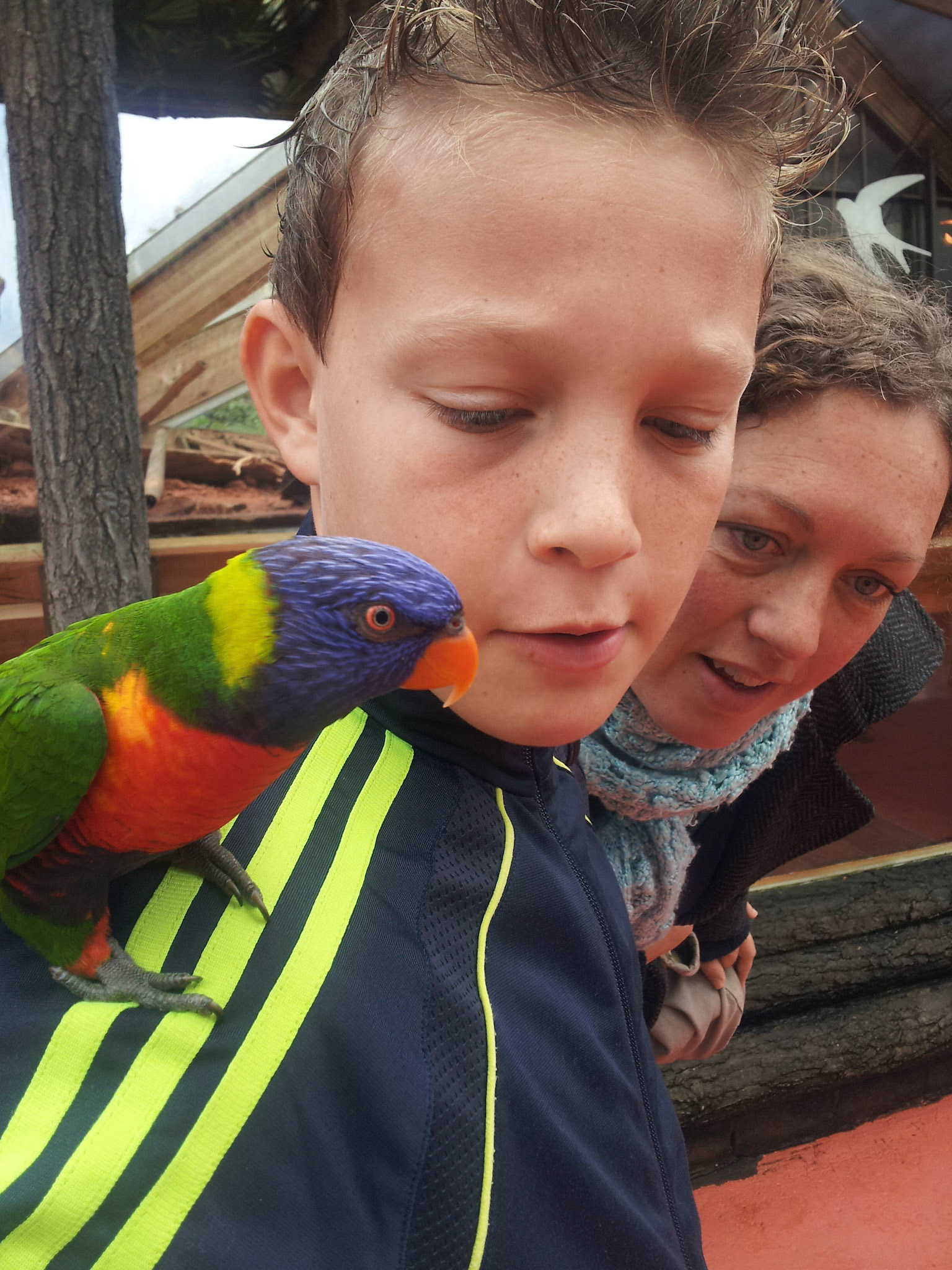 Joris, Erna en Lori