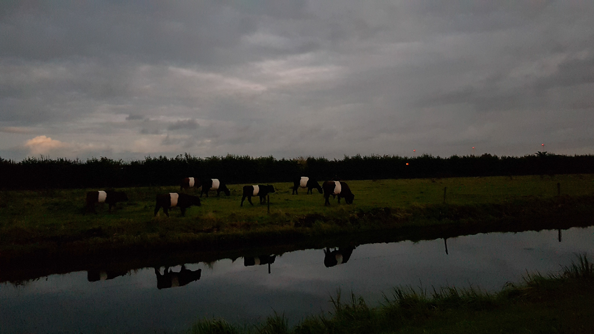Wandelen met Bielefelders