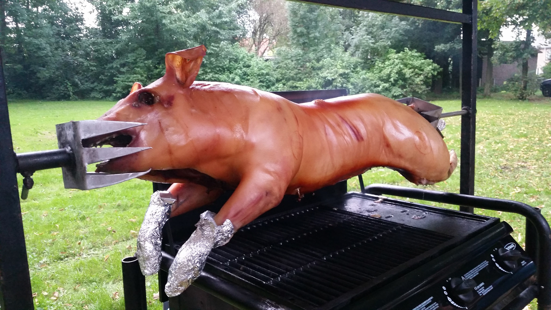 Varken aan t spit bij Lingefilm