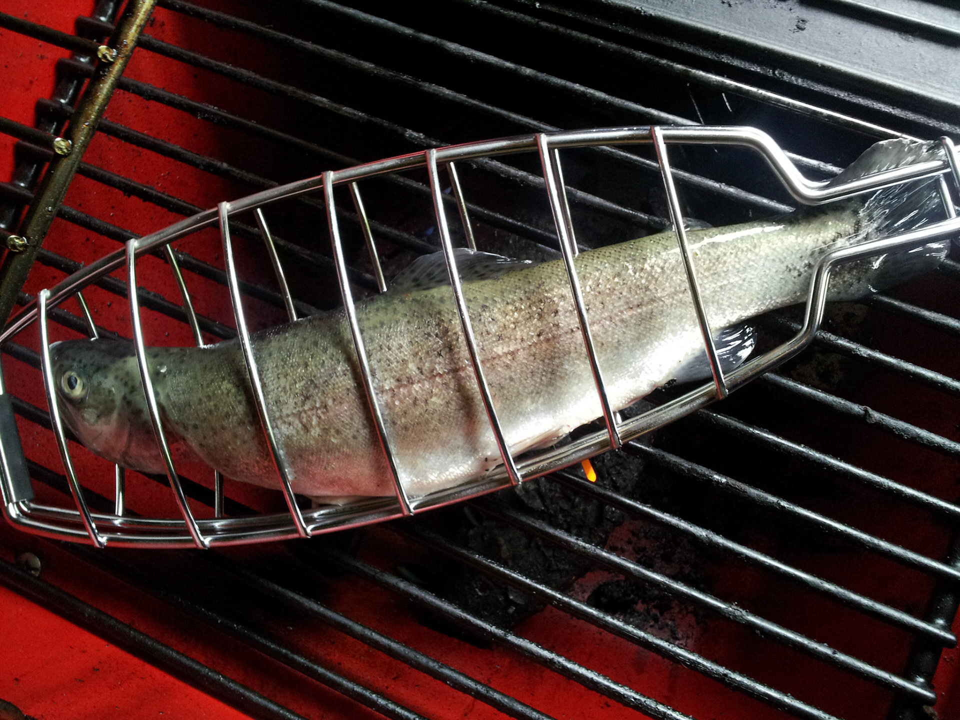 Ja jongen, vanmiddag zwom je nog in de vijver...