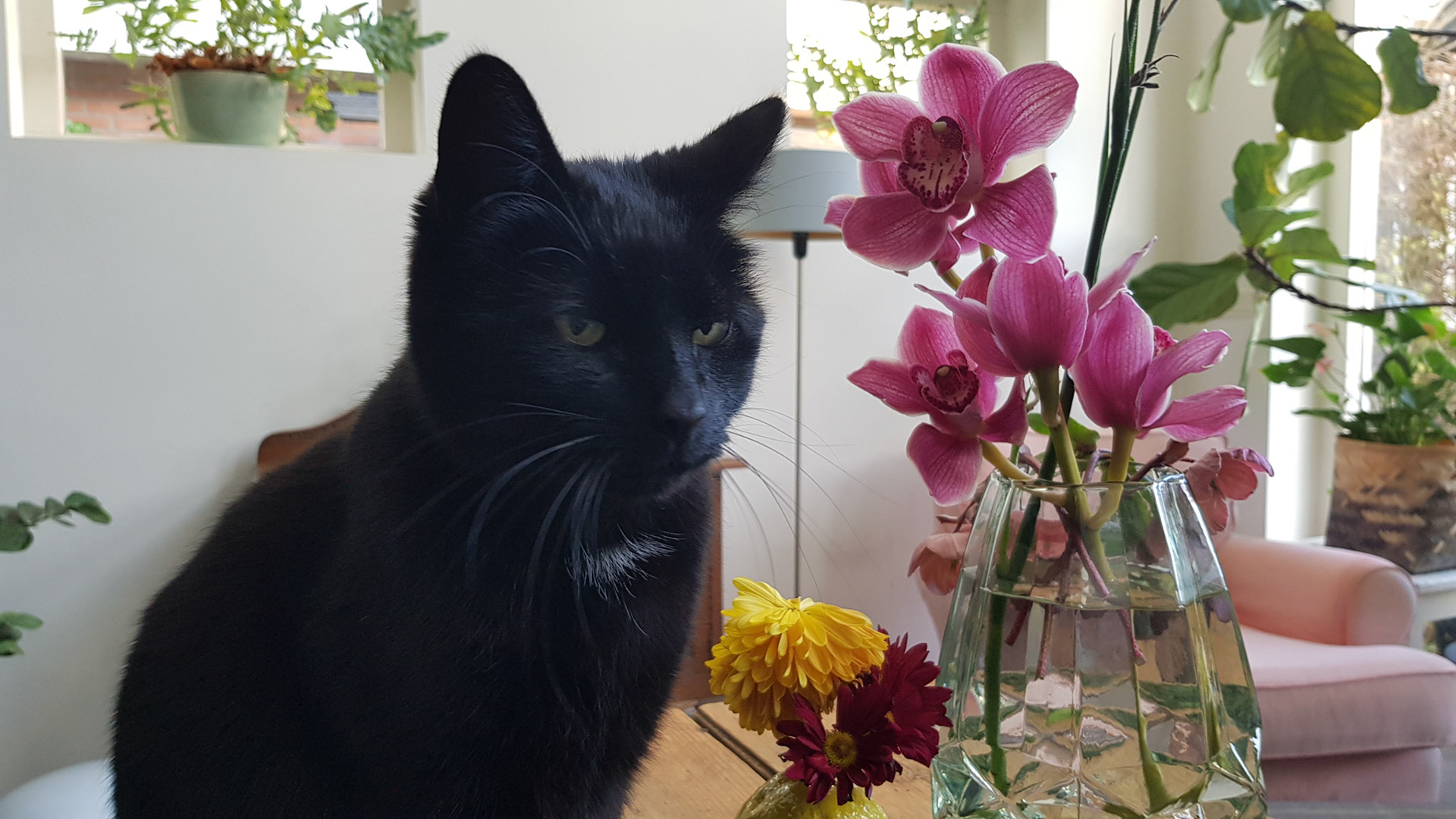 Je gaat toch geen foto ma....