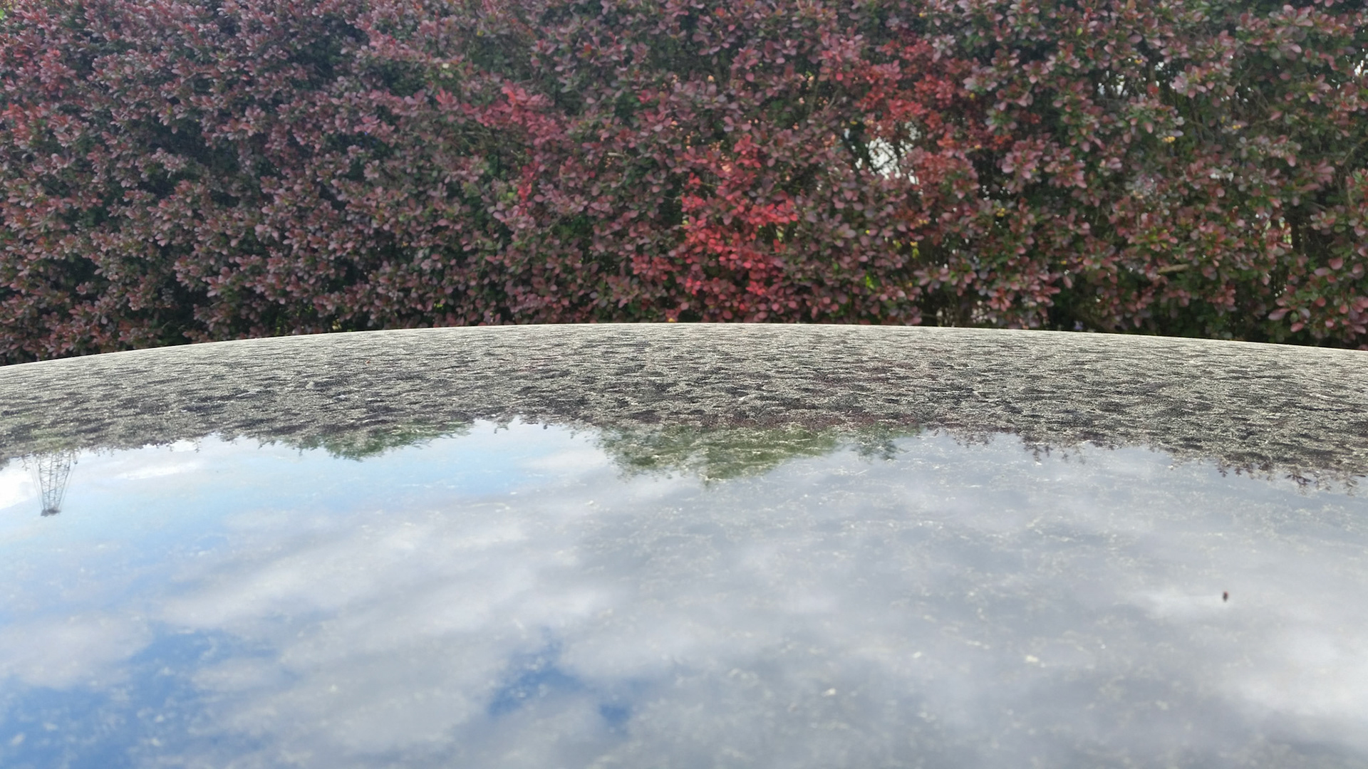 Recordhoeveelheid pollen op de auto