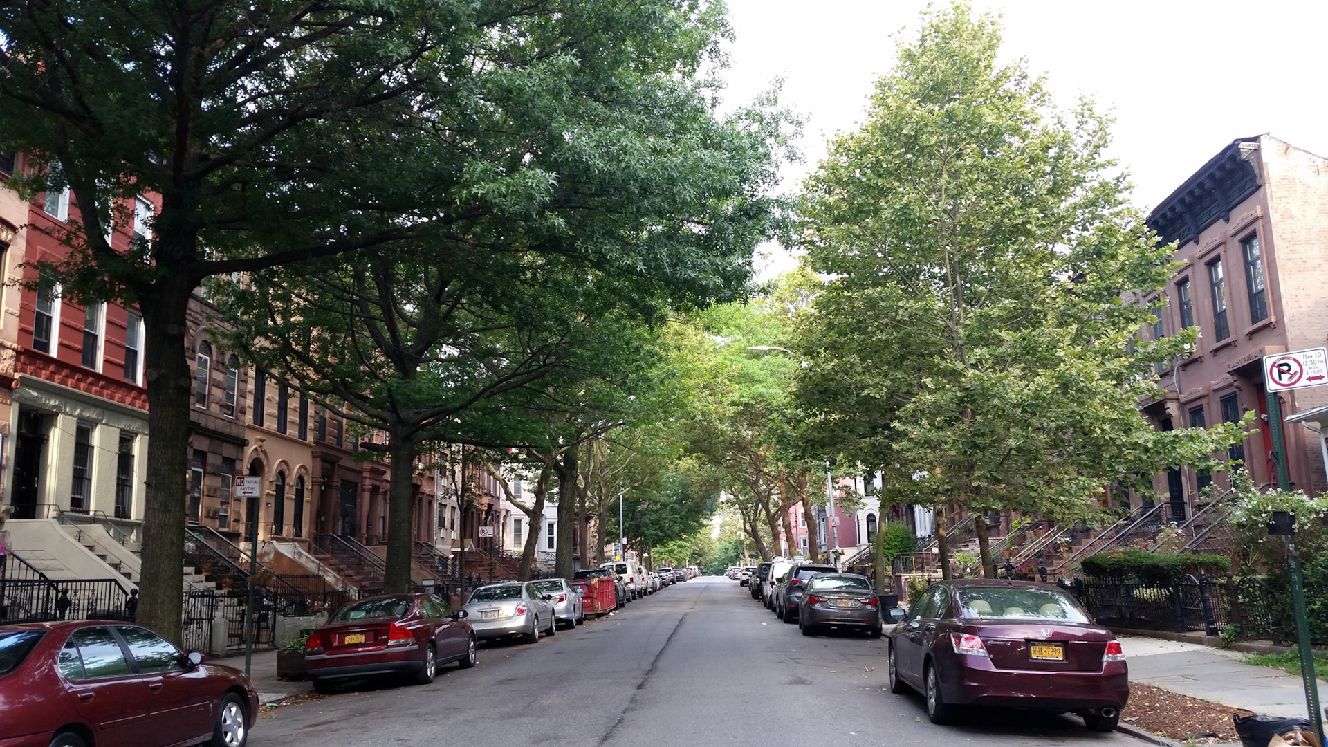 Home in Bedstuy Brooklyn