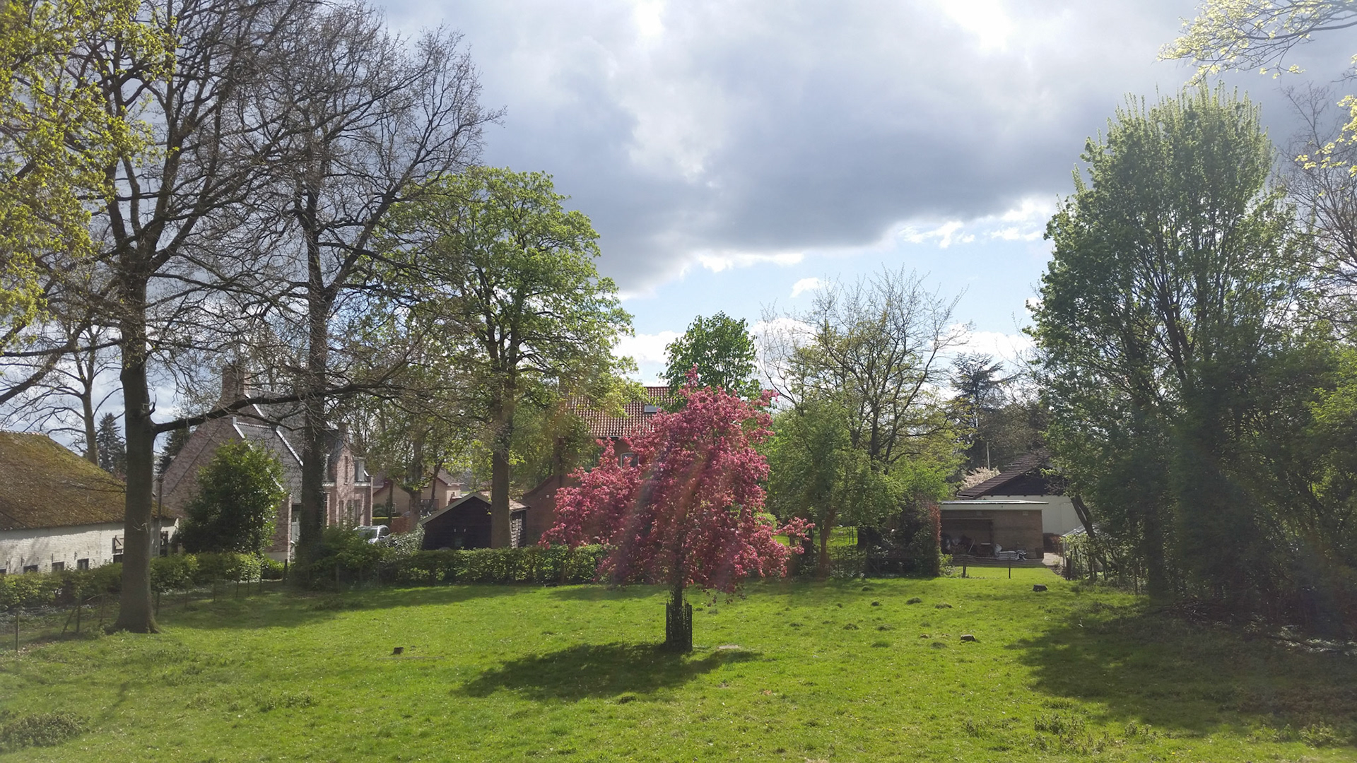 De kleinste bloeit het mooiste