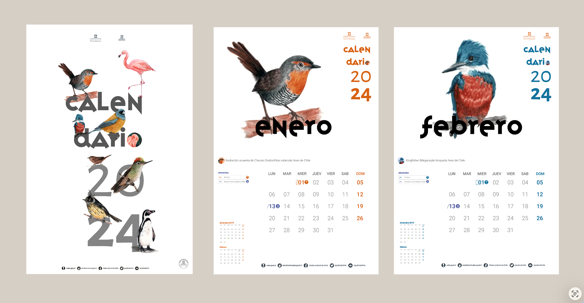 Diseño e ilustraciones Calendario del Poder Judicial de Chile