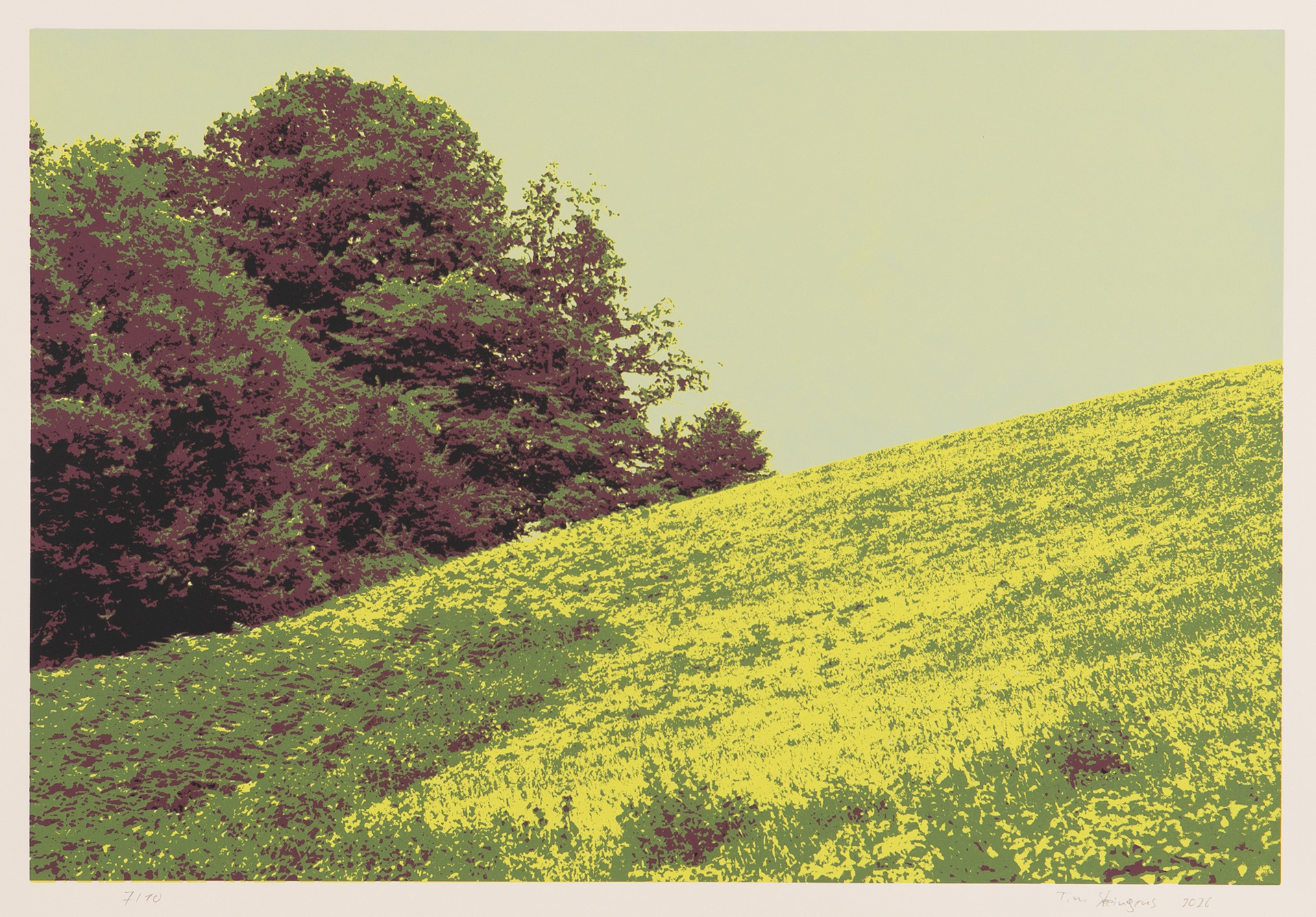fünffarb Siebdruck, 70 x 50 cm, © Tim Steingens 2026
