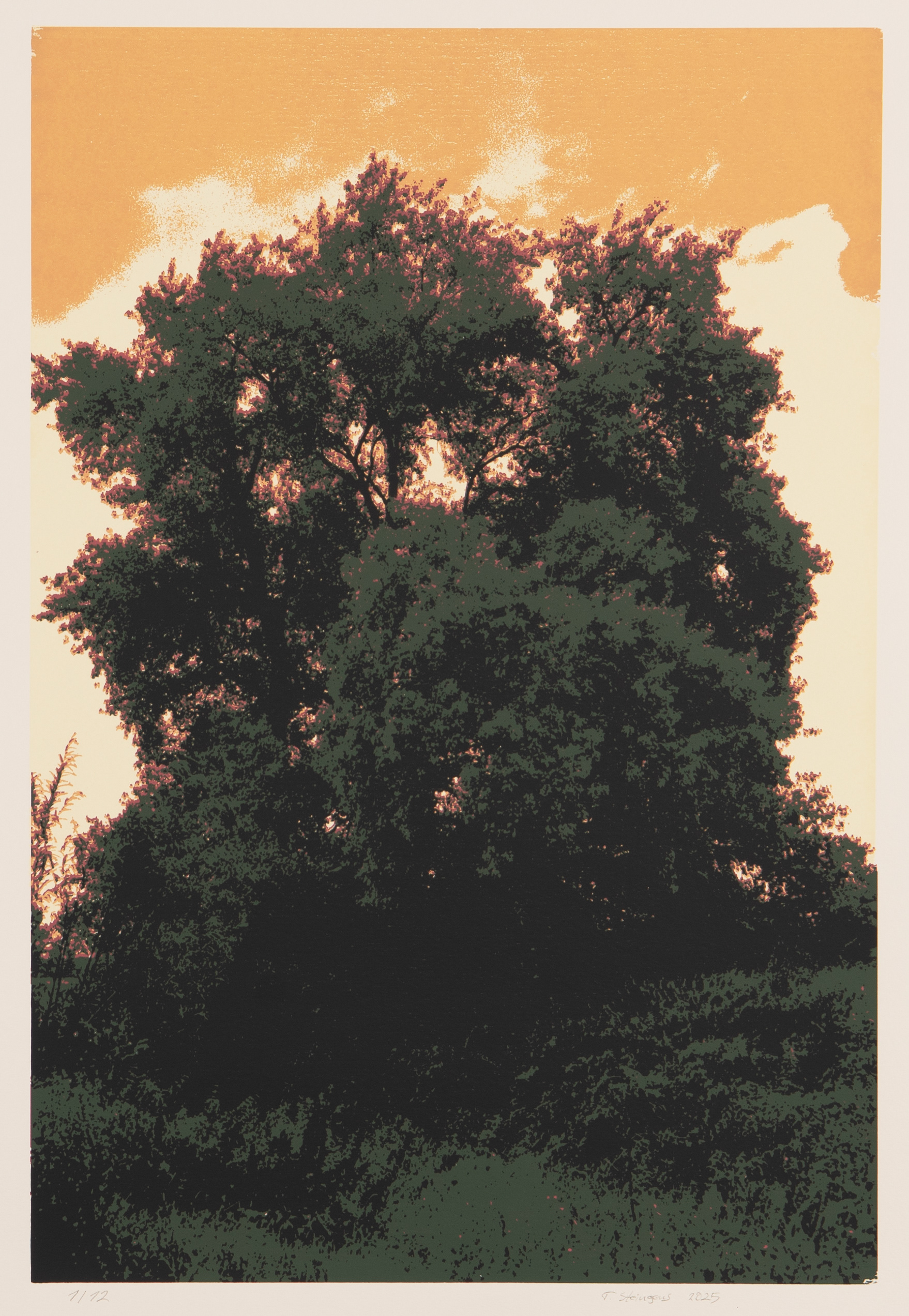 fünffarb Siebdruck, 50 x 70 cm, © Tim Steingens 2025