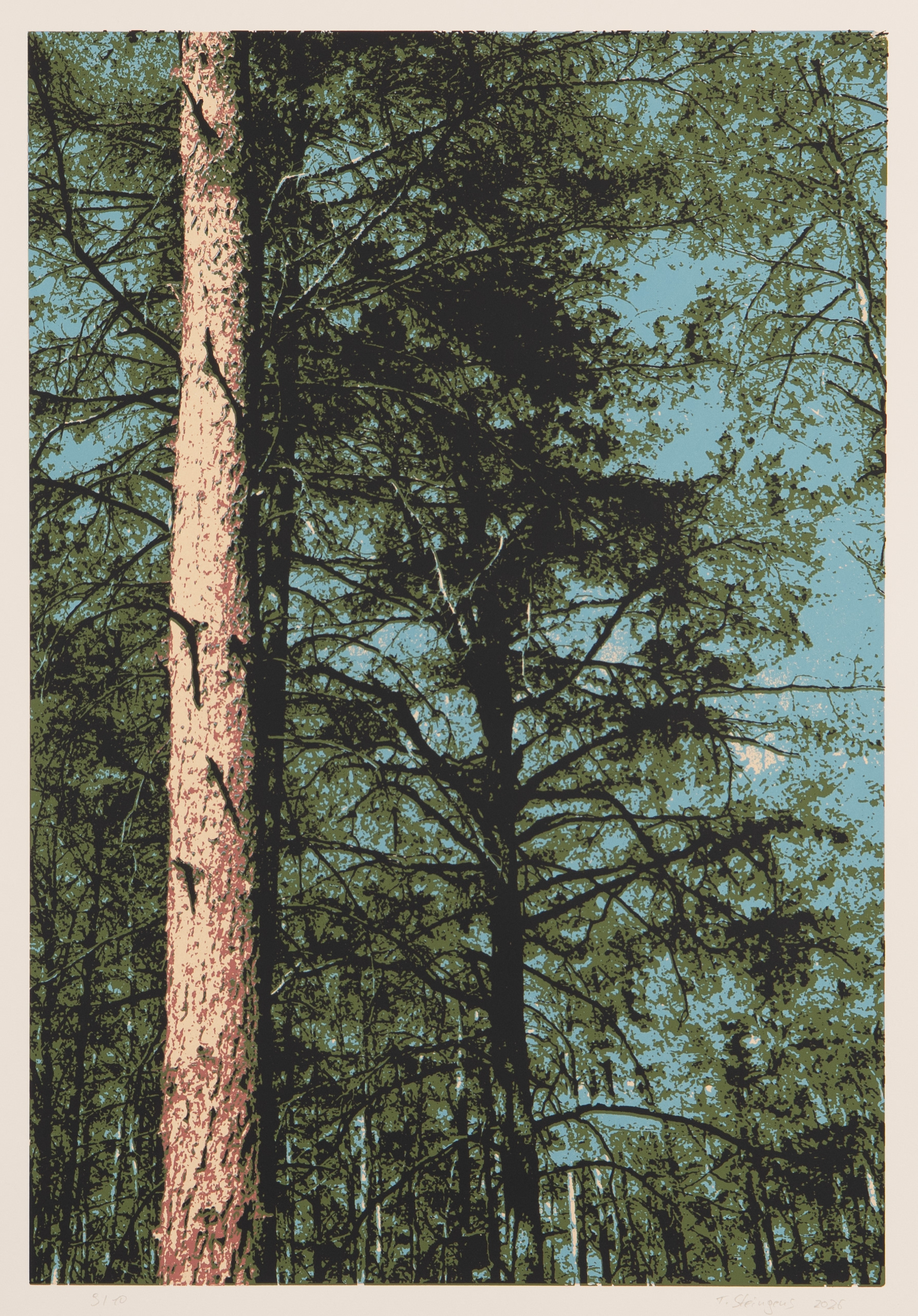 fünffarb Siebdruck, 50 x 70 cm, © Tim Steingens 2026