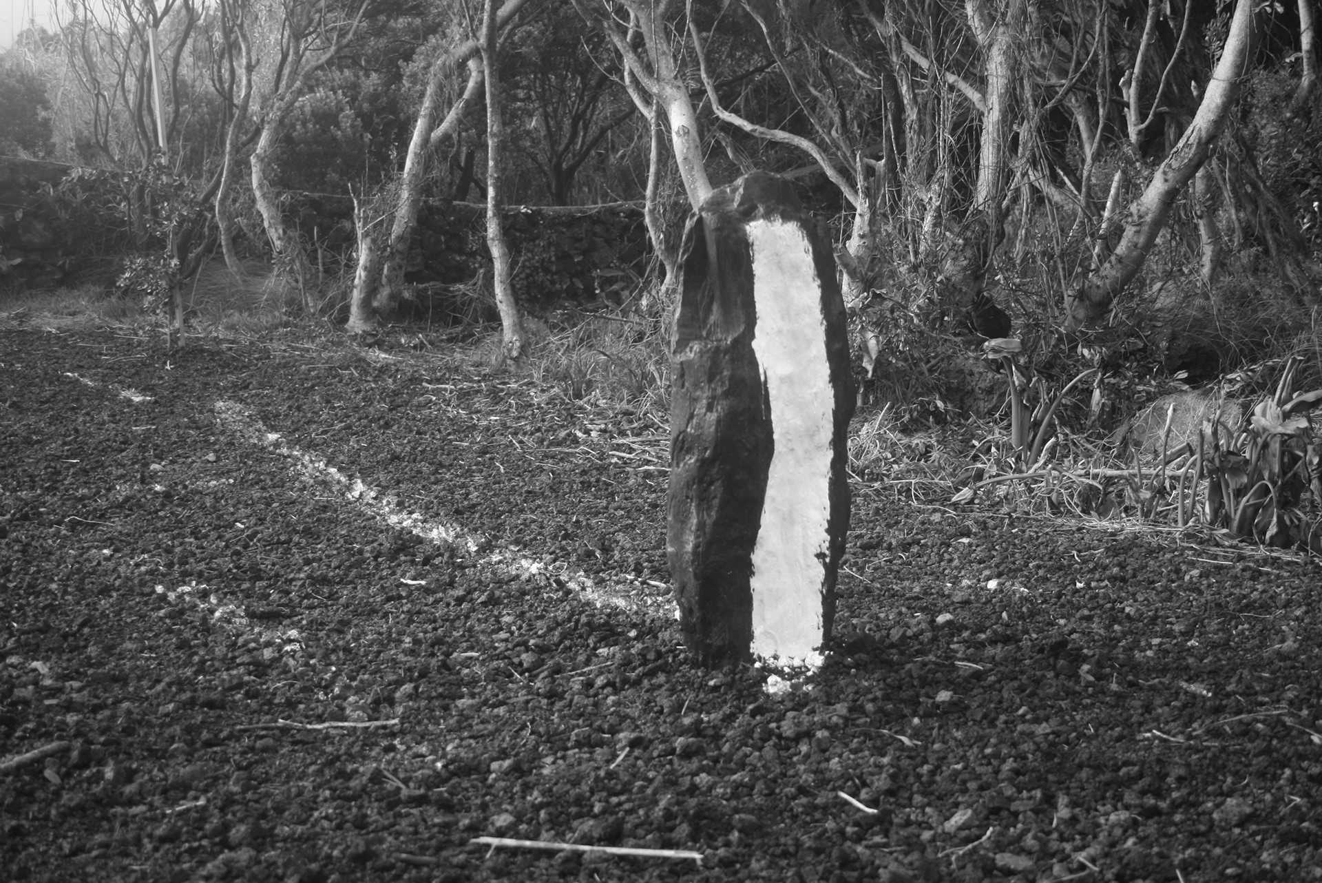 Detail of burnt and painted wood, part of the performance circuit