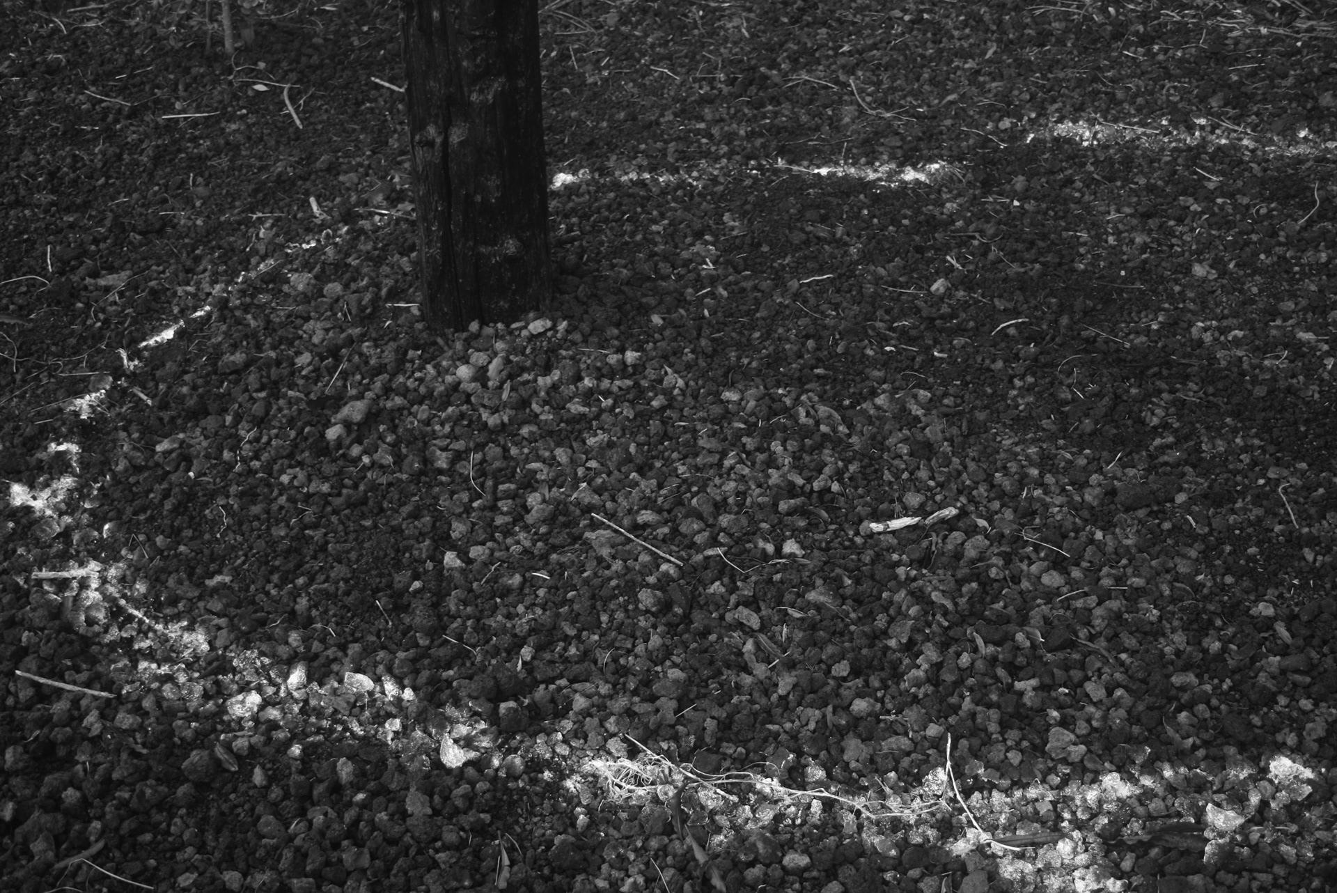 Detail of paint poured onto the basalt gravel floor during the performance, surrounding the burnt wood in the landscape