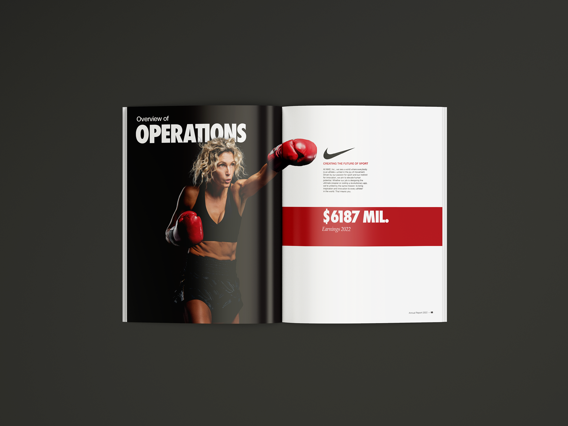 Nike inc outlet annual report