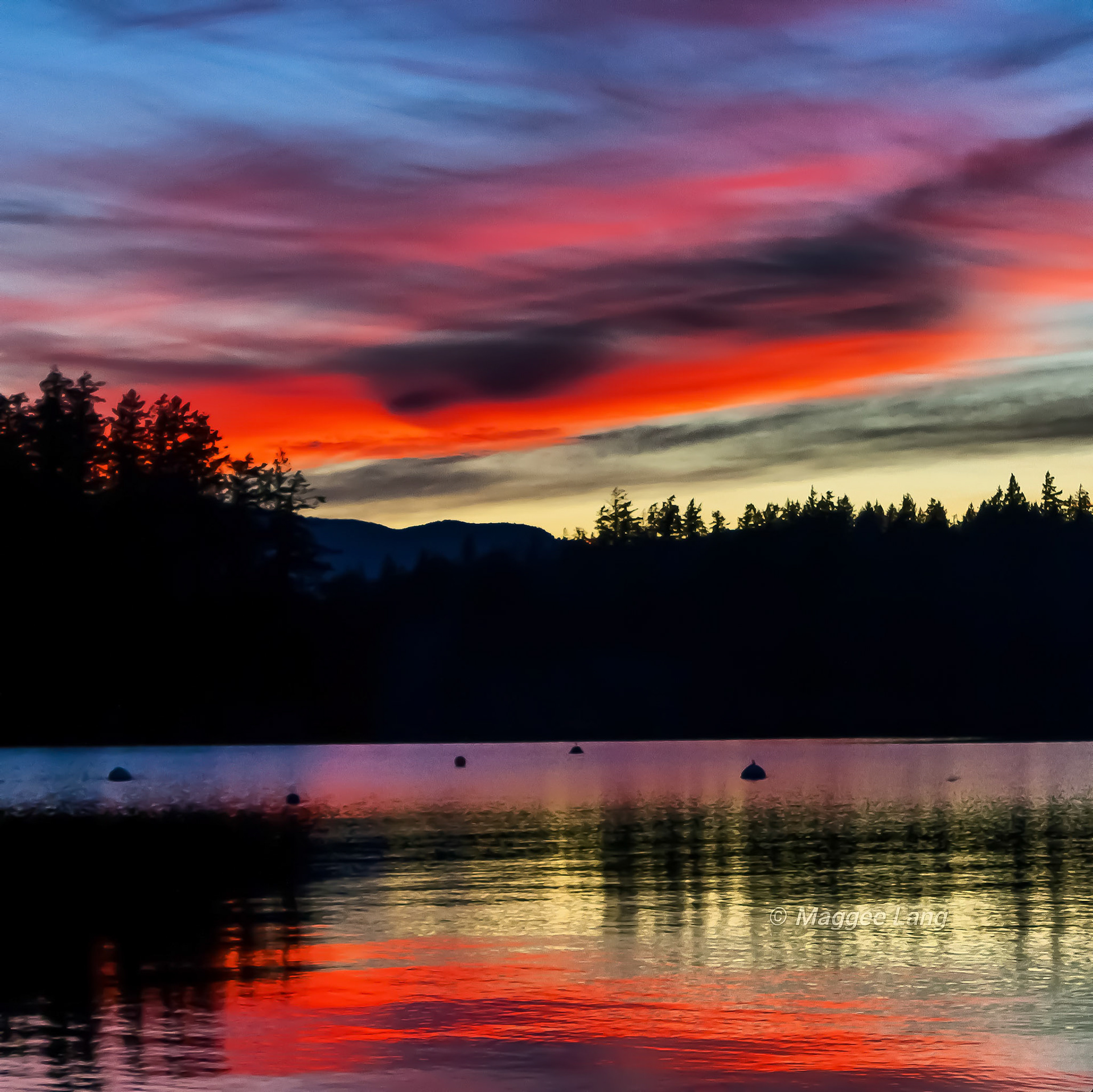 Turtle Lake, Madeira Park B.C. Canada