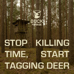 Buck Forage