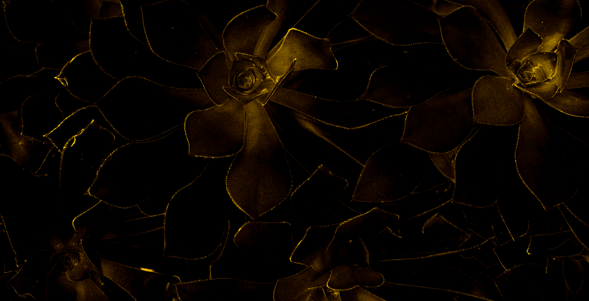 Texture Exploration