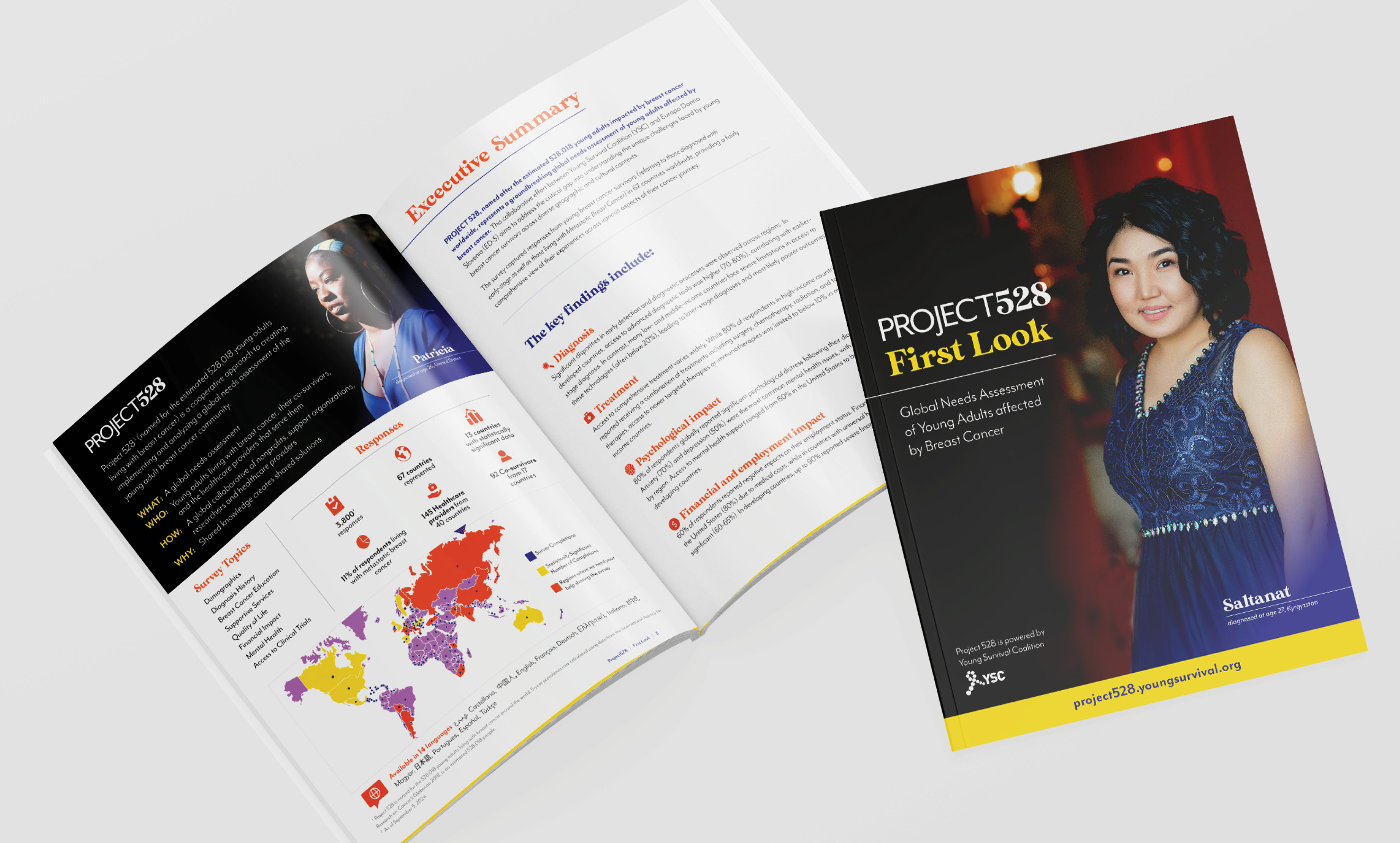 Booklet Mockup for data collected