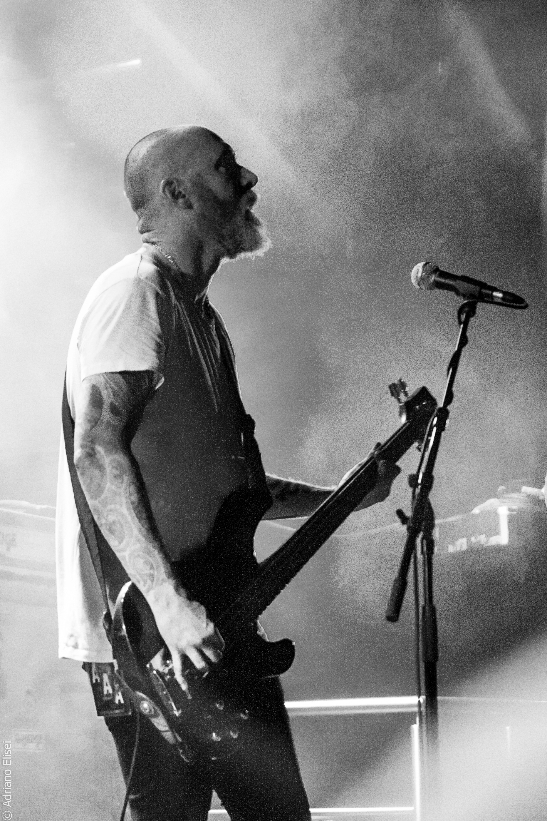 And So I Watch You from Afar