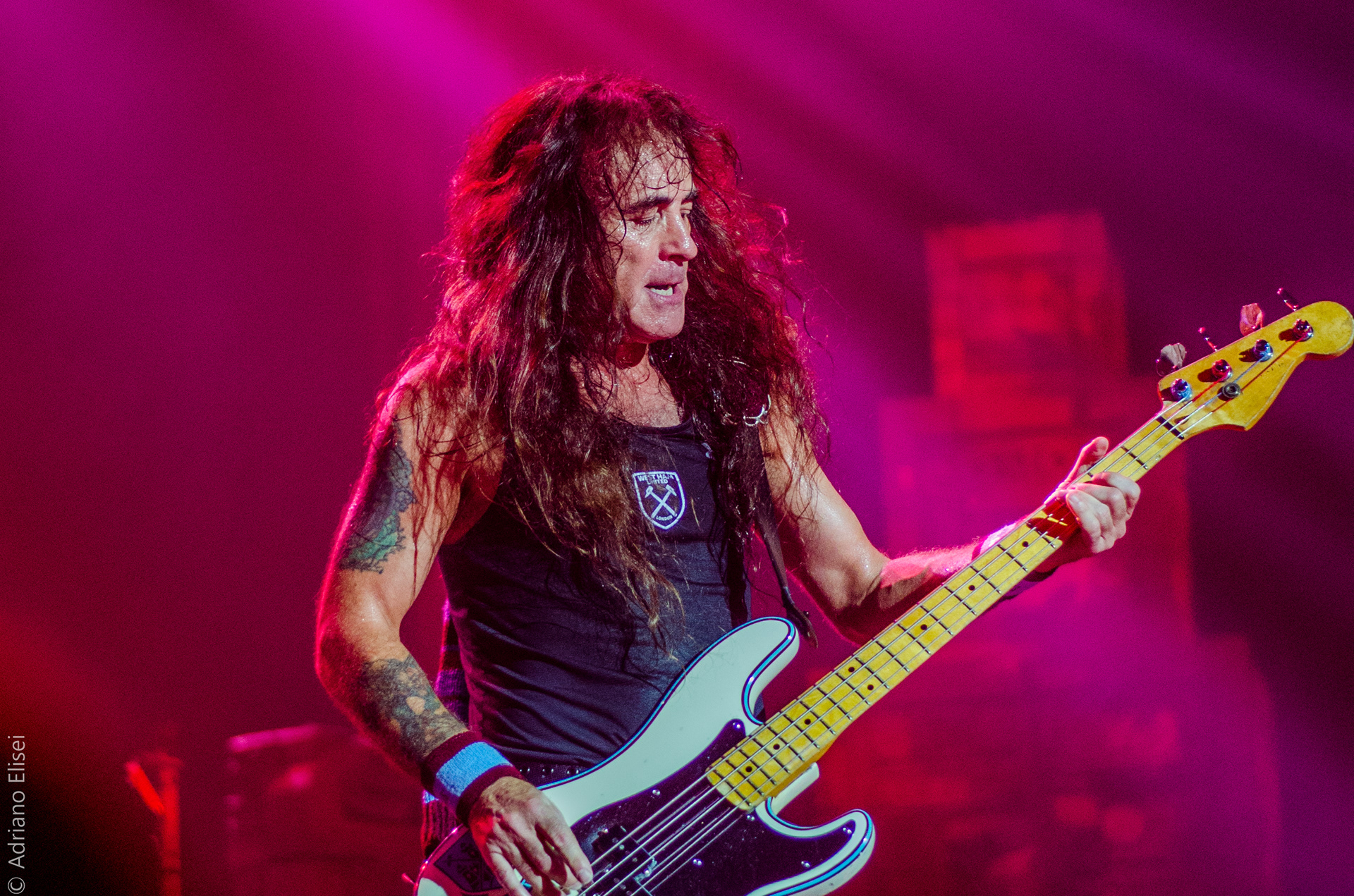 Iron maiden