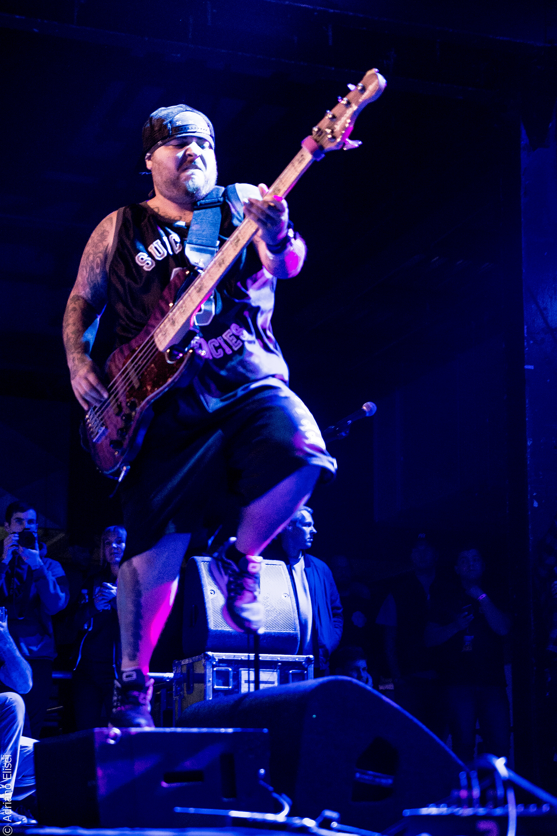 SUICIDAL TENDENCIES - THE SOUNDS OF REVOLUTIONS
