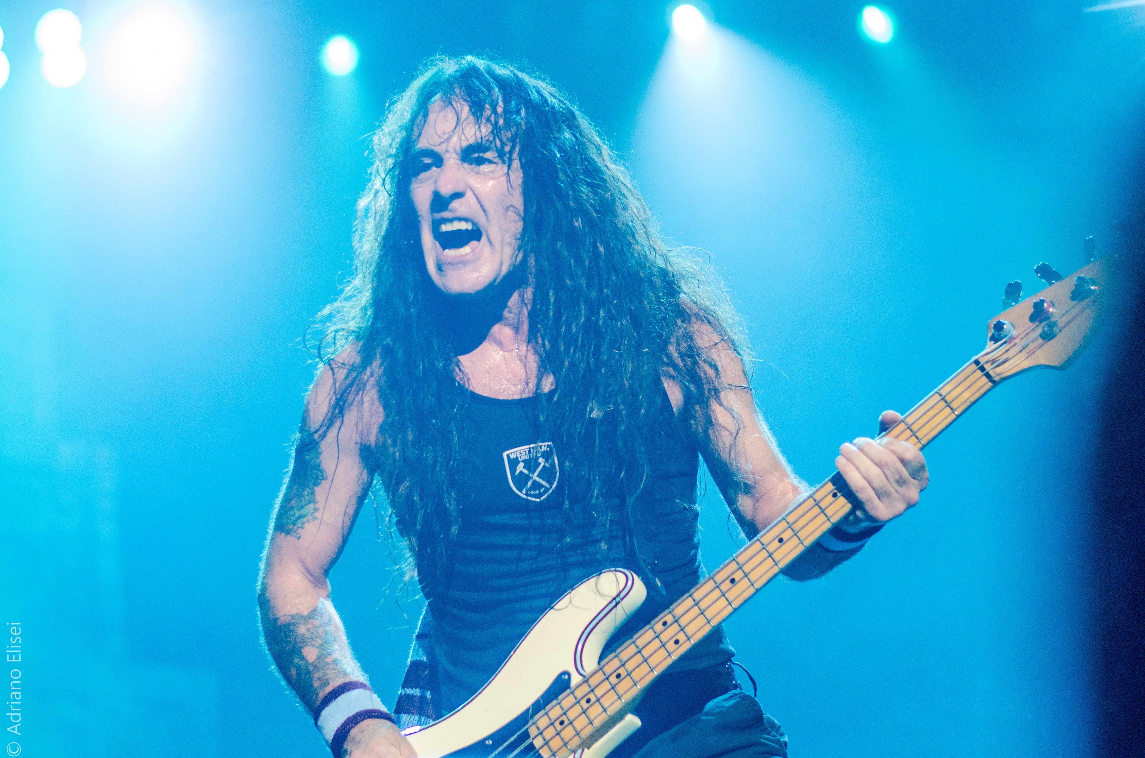 Iron maiden