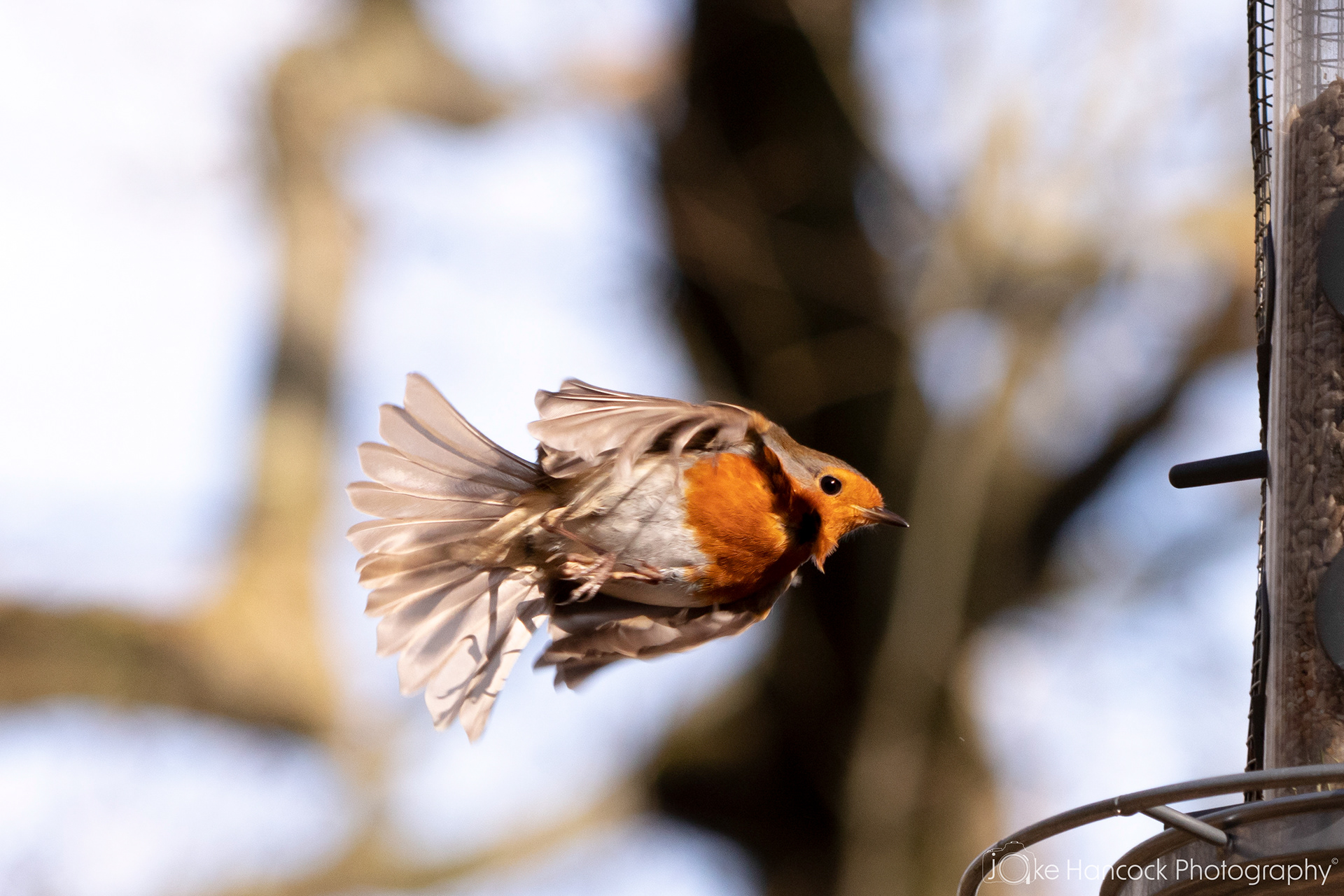 Shutter Speed - 1/1,600 | Aperture - F6.3 | ISO - 800