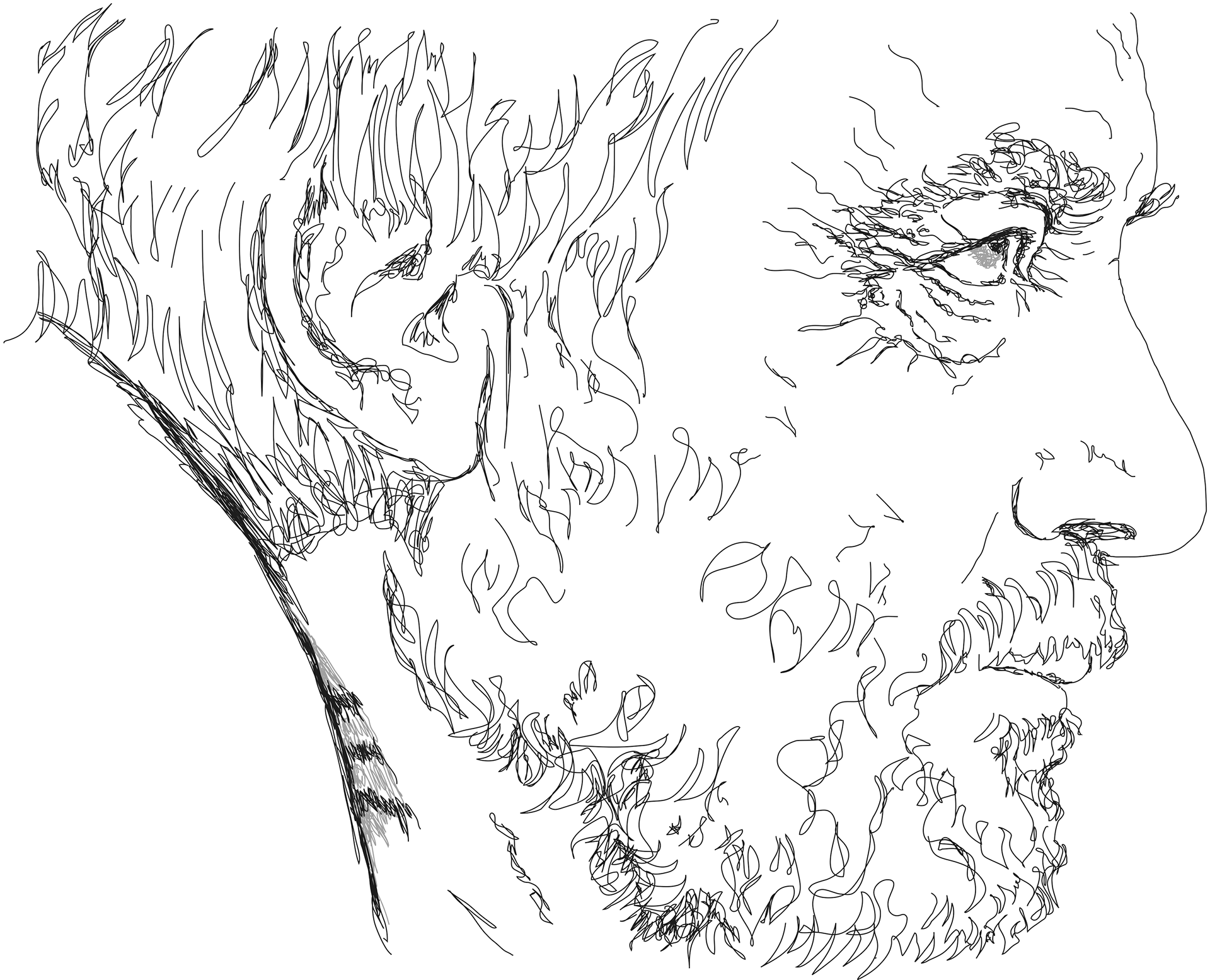 Andrzej Żuławski
