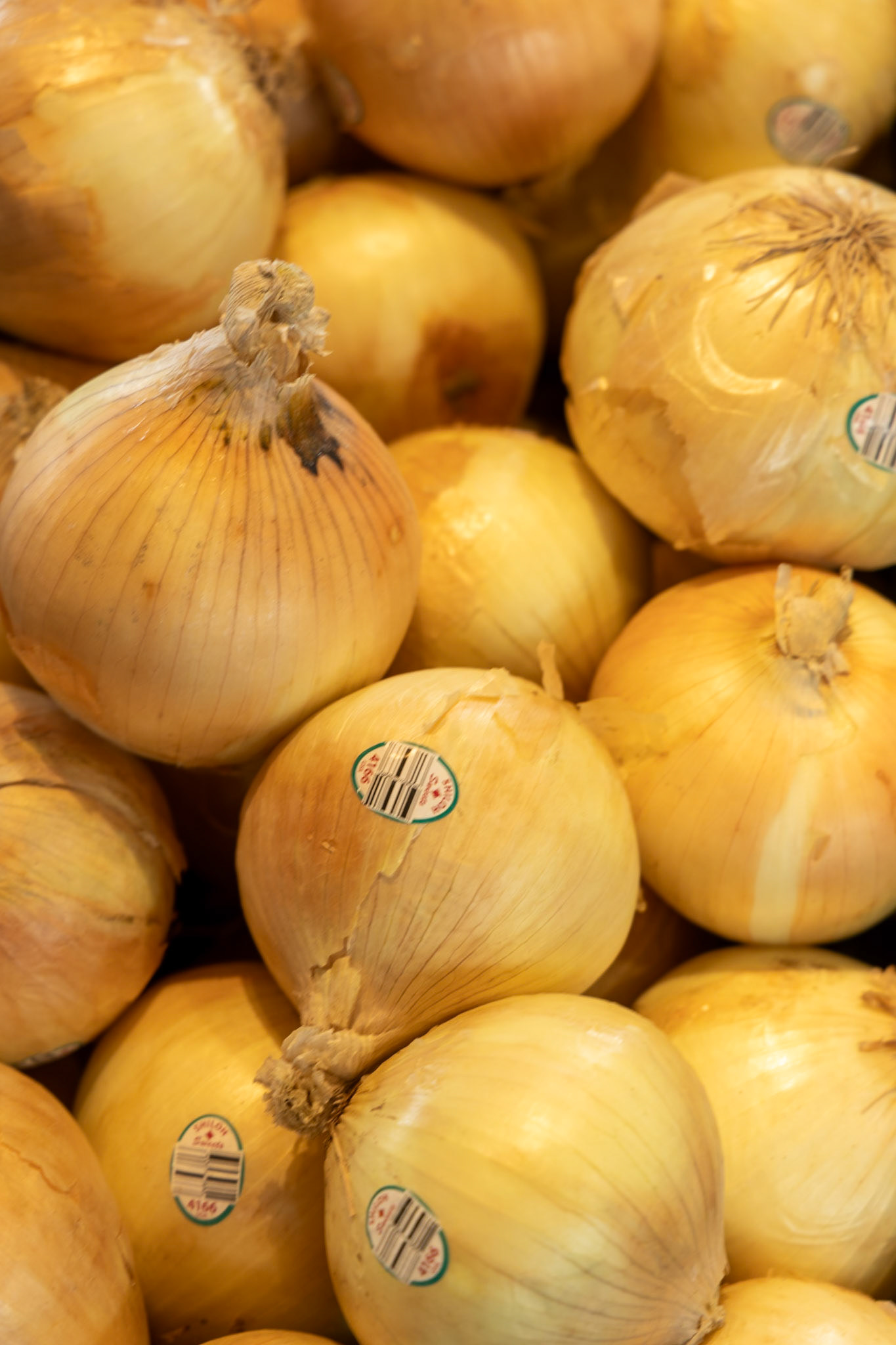 Onions