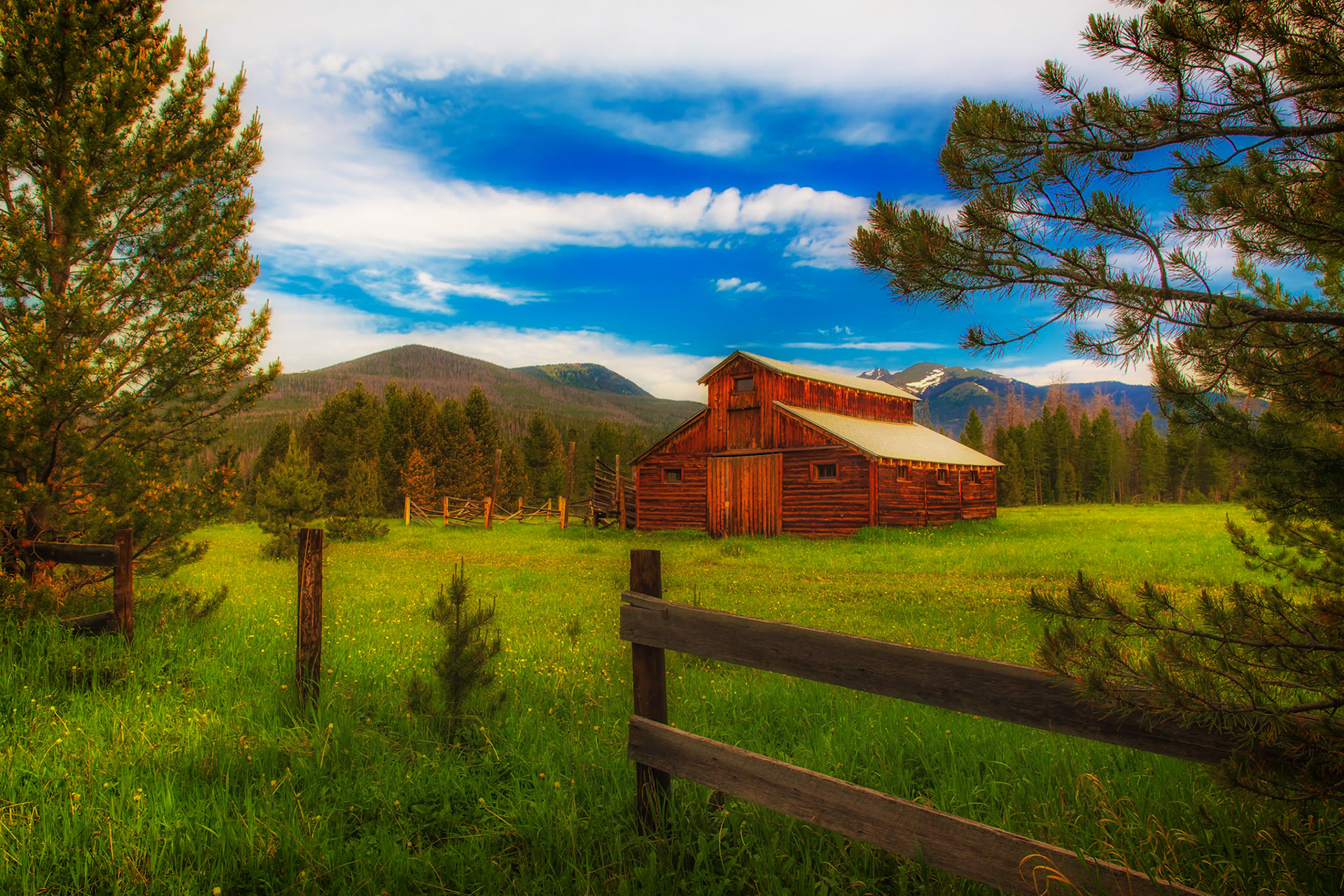 Little Buckaroo Foreground
