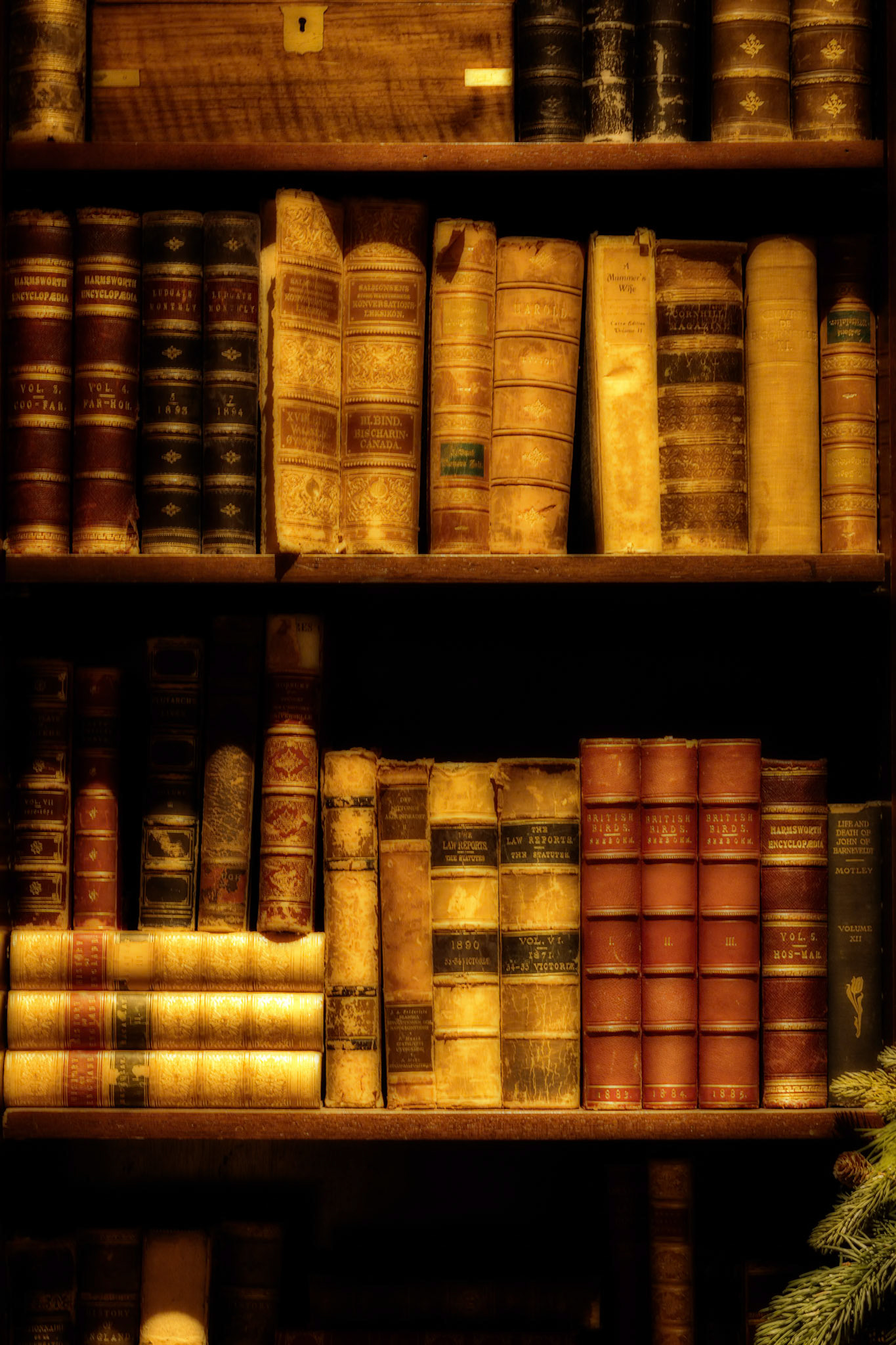 Books