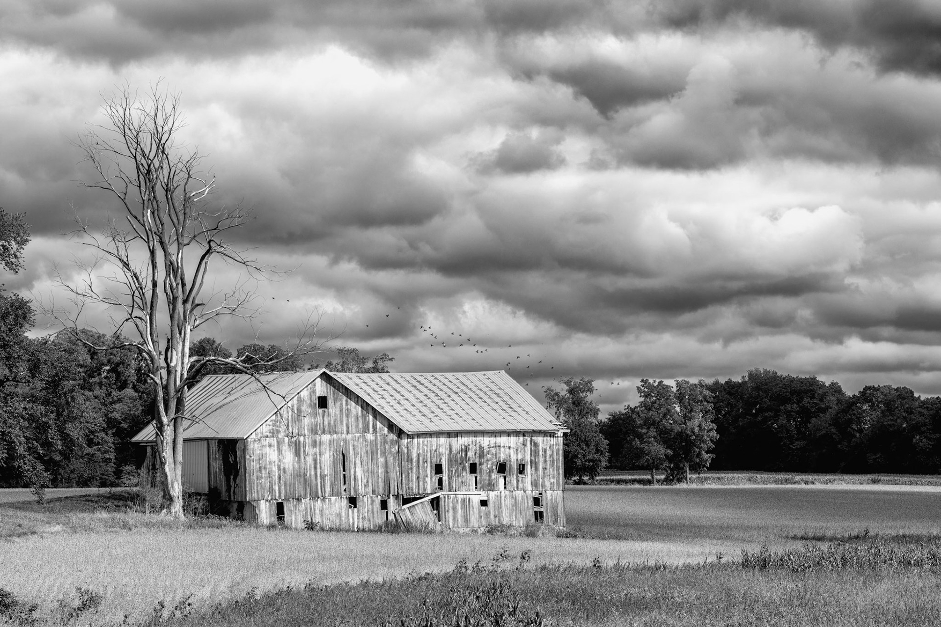 Barn of North Manchester
