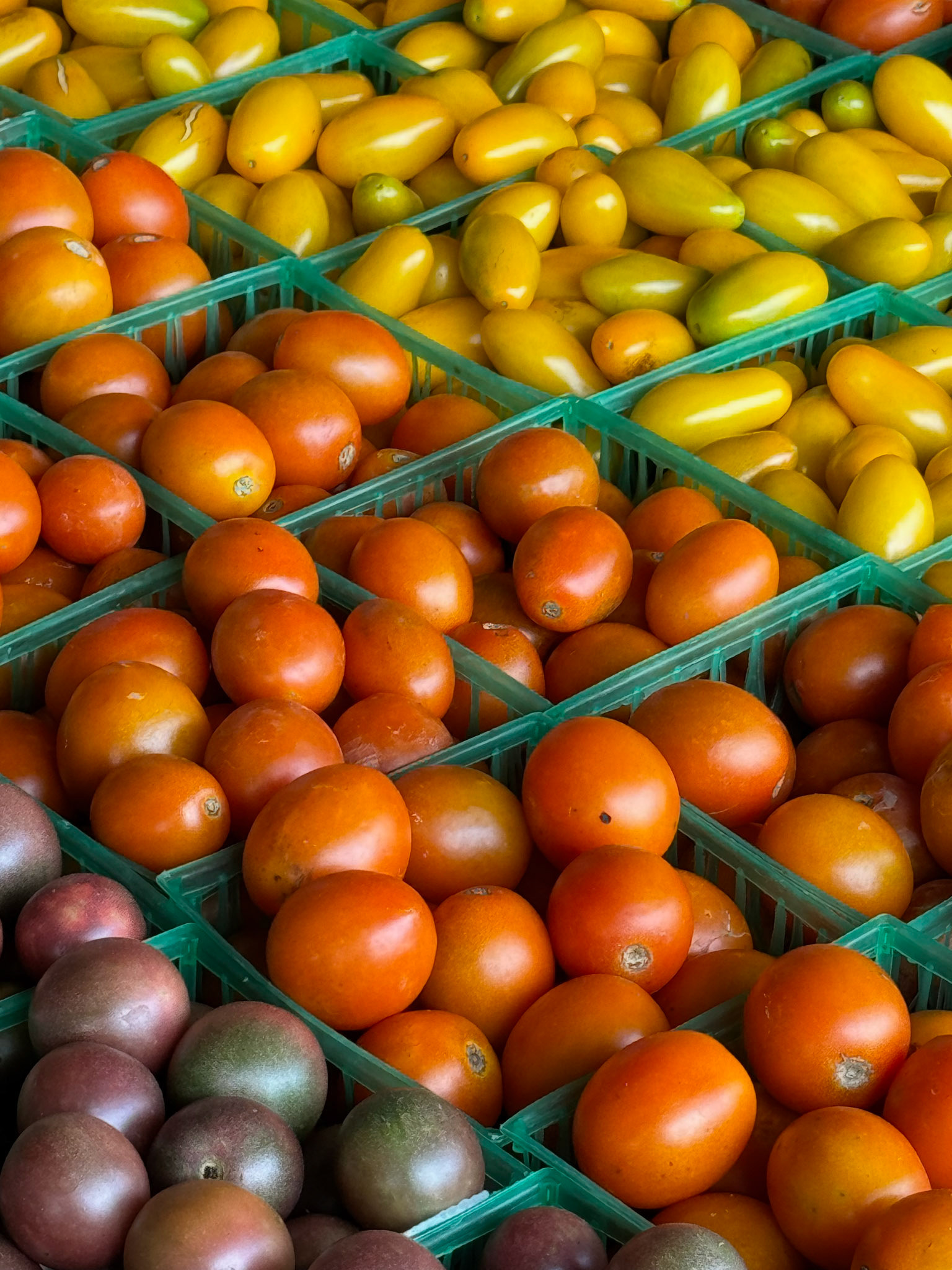 Soulard Tomatoes