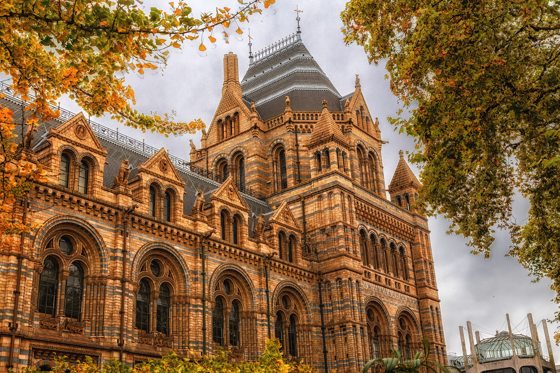 London Museum of Natural History