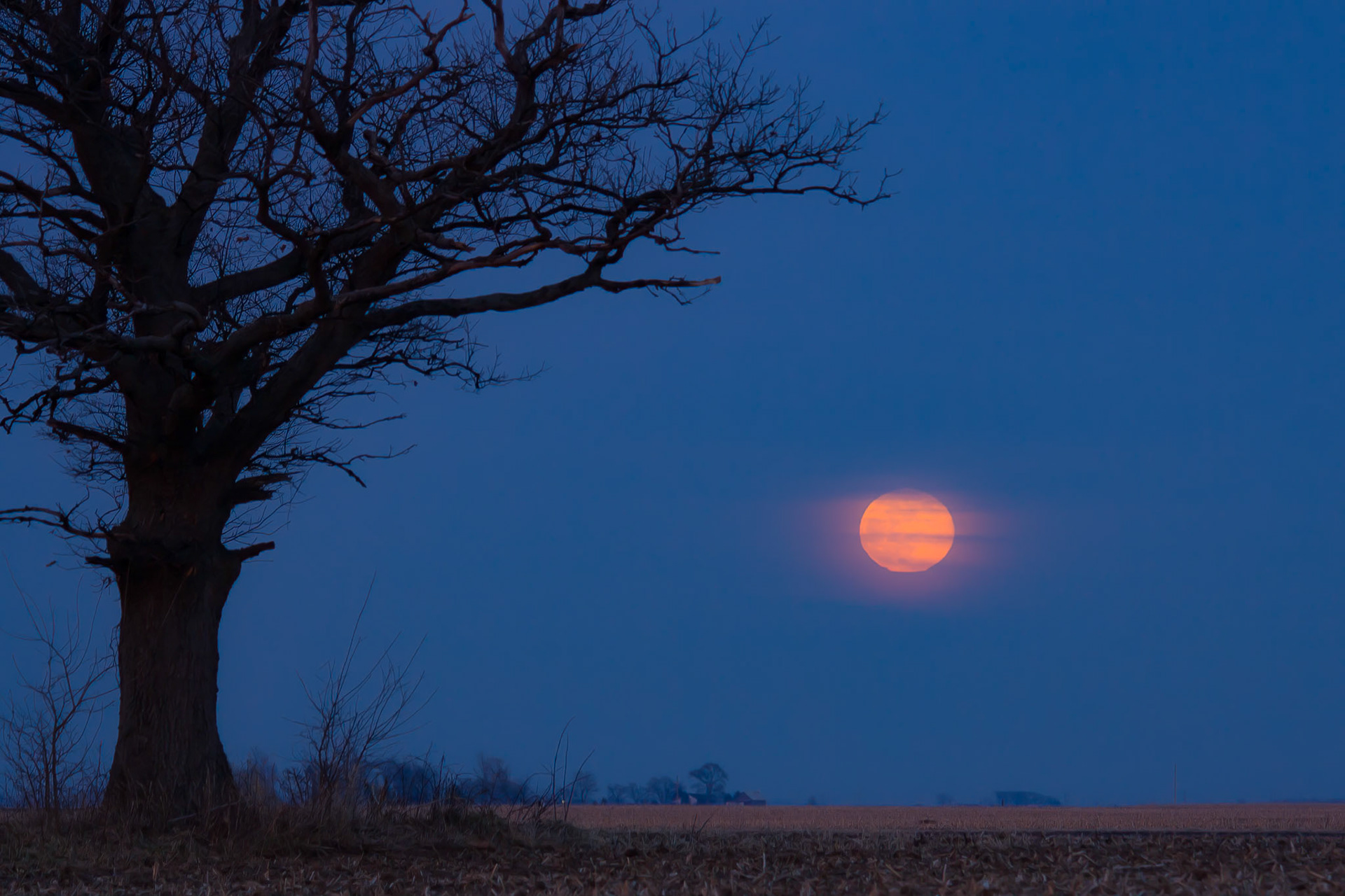 Moonrise in Douglas County IL
