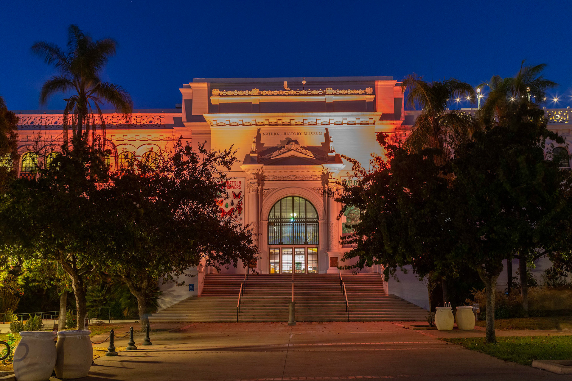 Museum of Natural History
