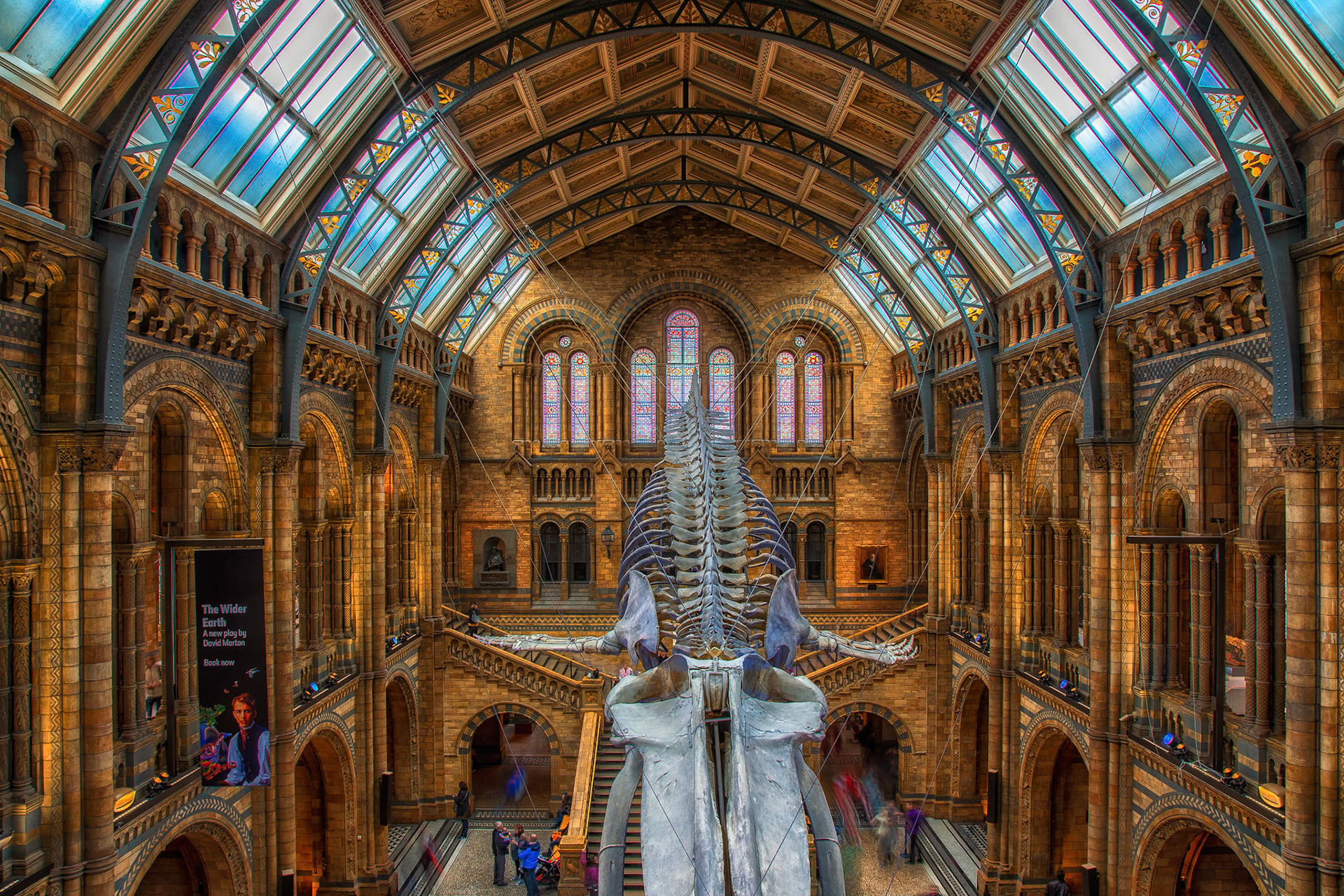 London Museum of Natural History