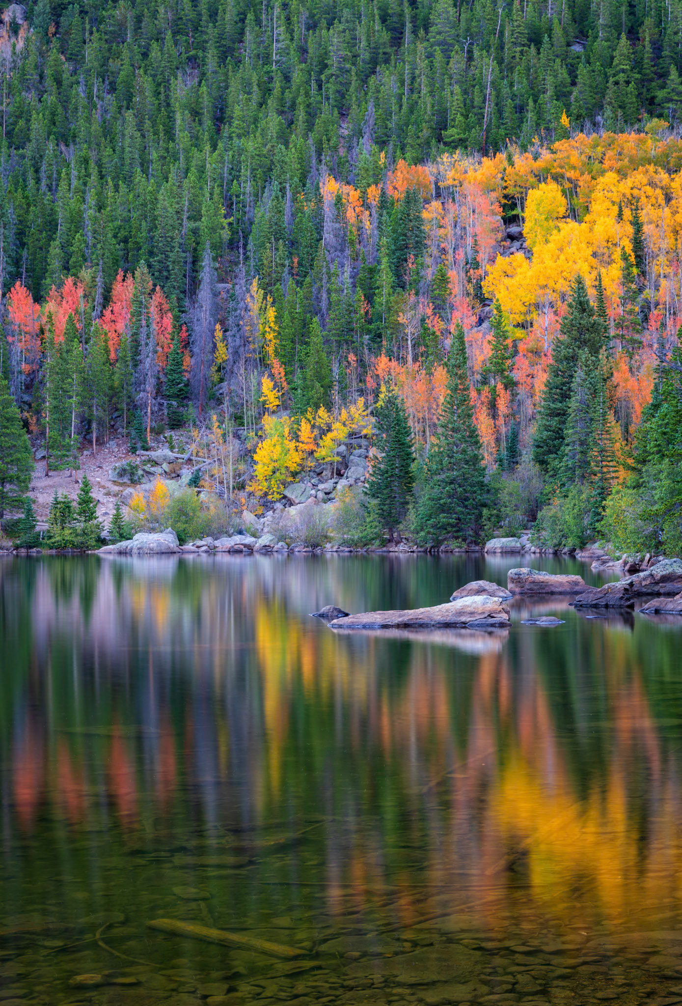 Bear Lake Autumn Vertical