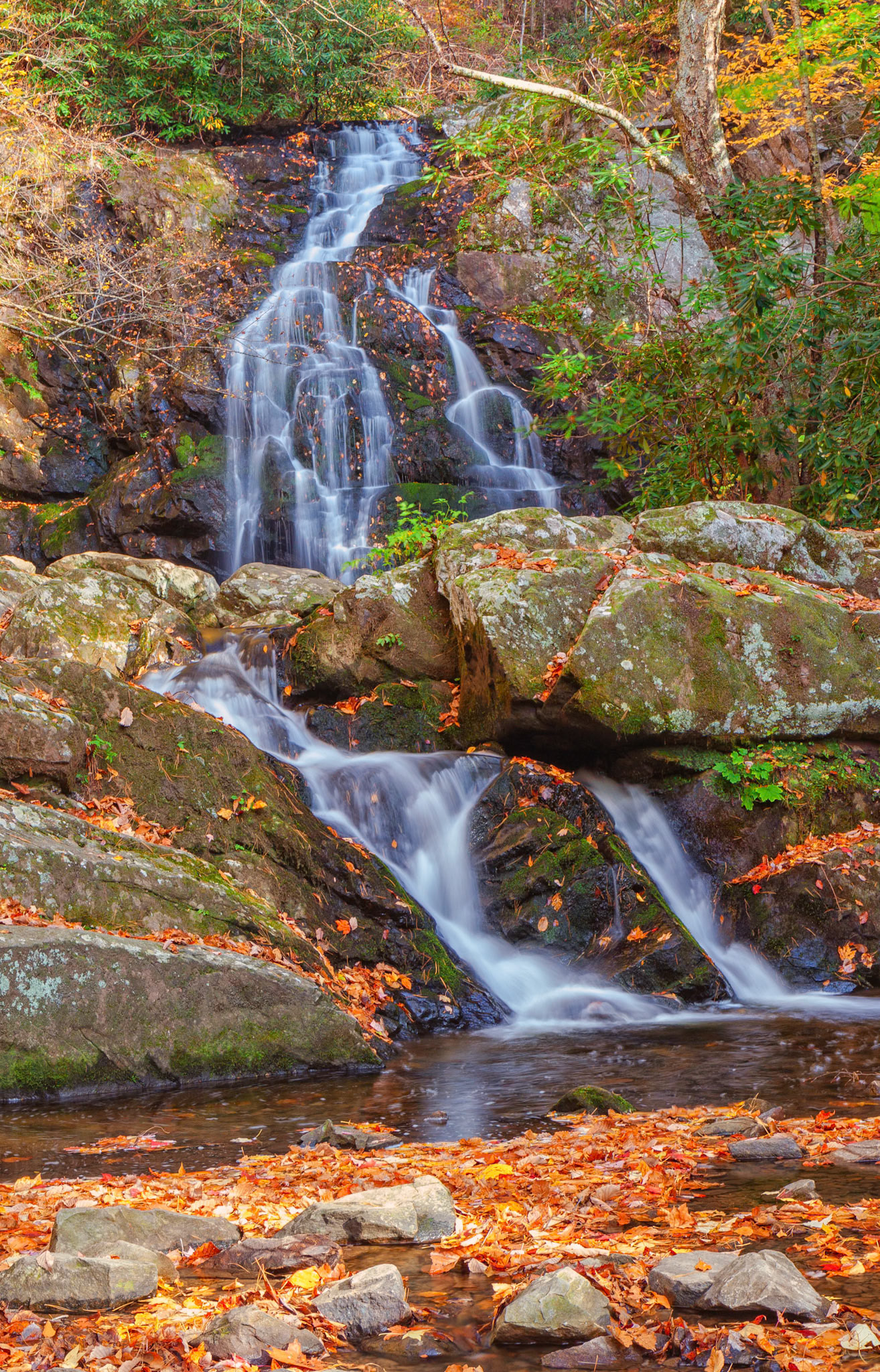 Spruce Flat Falls (Vertical)