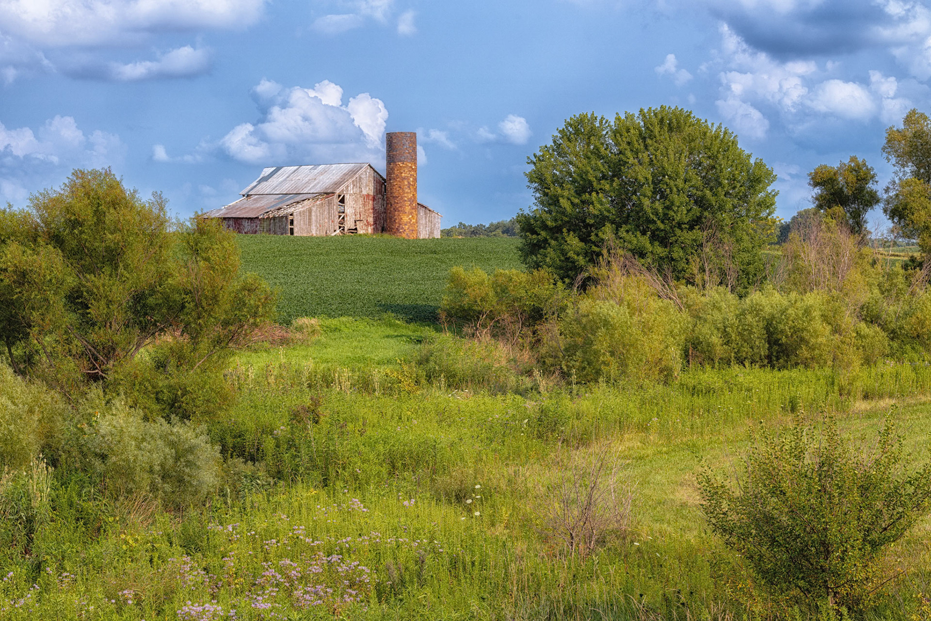Knoxville Barn