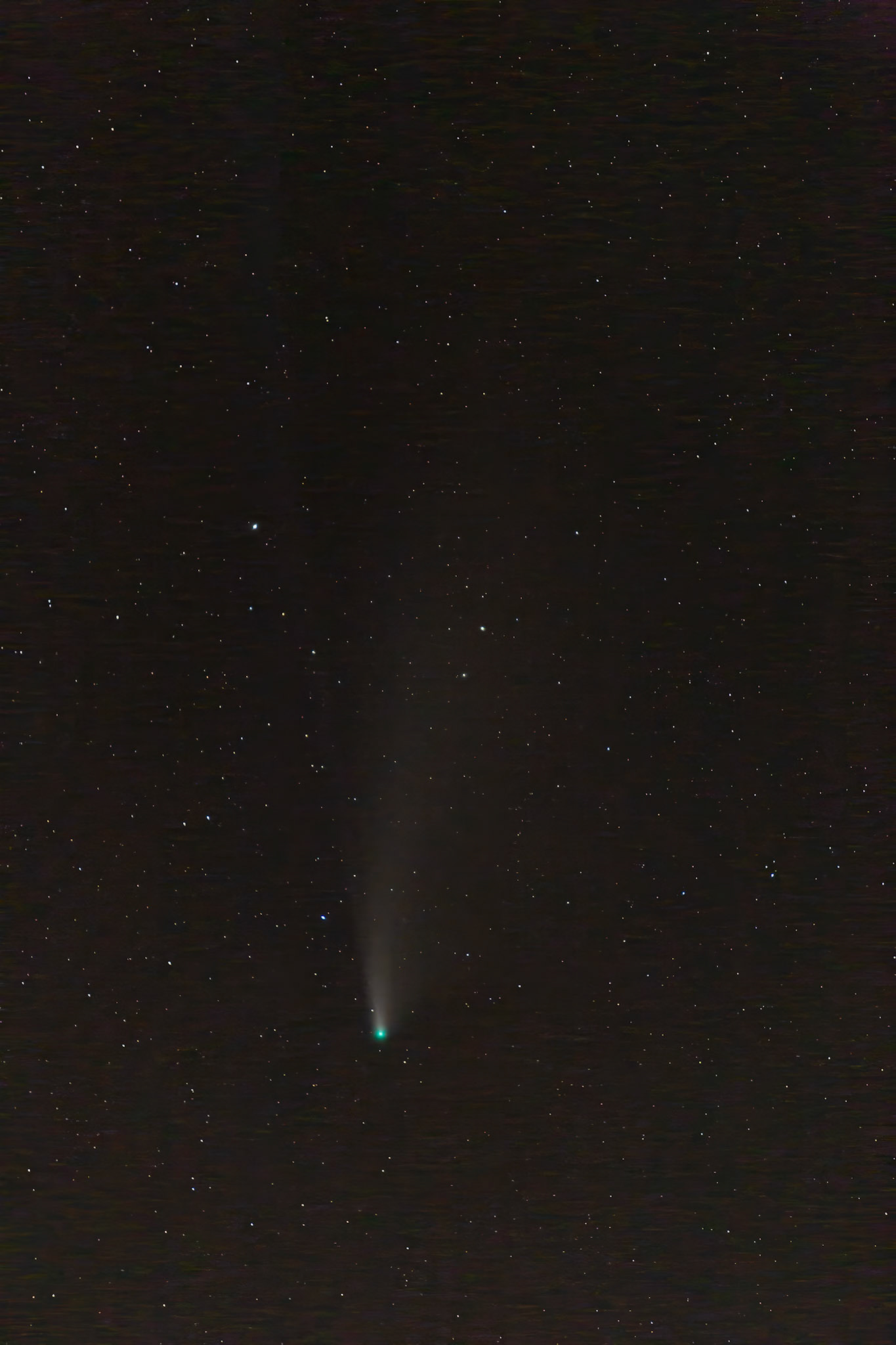Comet Neowise Vertical