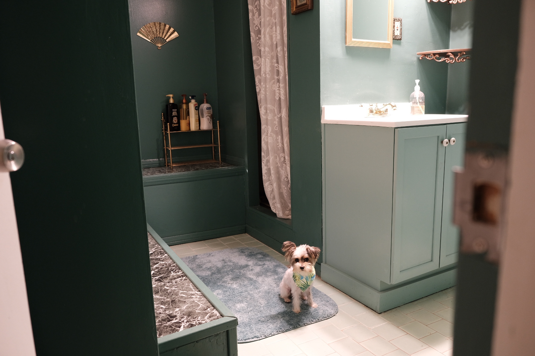 AfterGlow, Joseph City, AZ bathroom