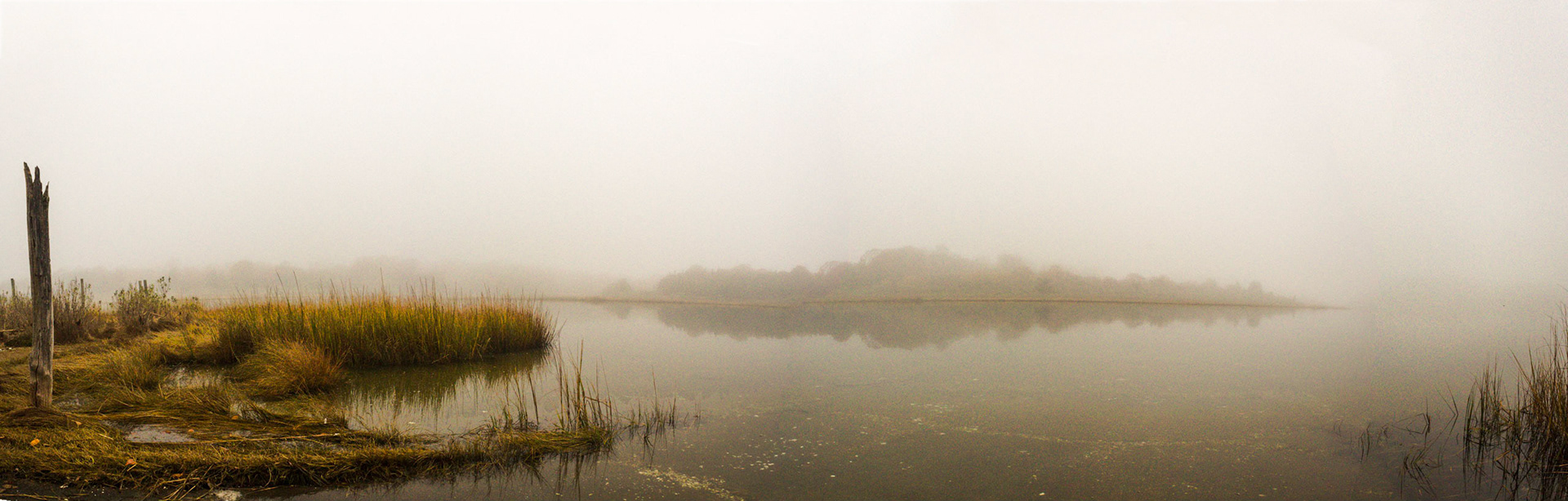 Shipyard Lane Fog