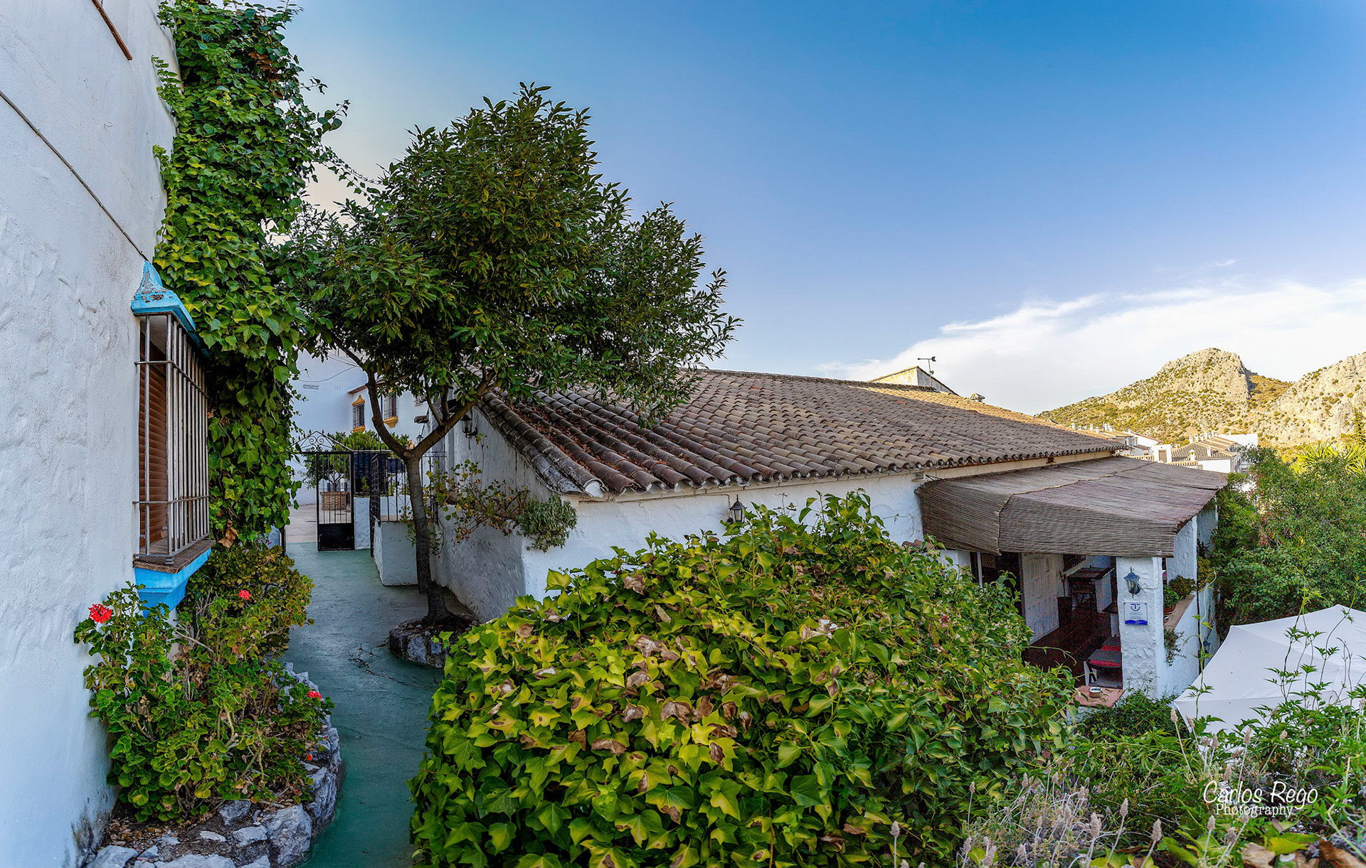 Canon EOS 6D - Panorámica 5 tomas verticales