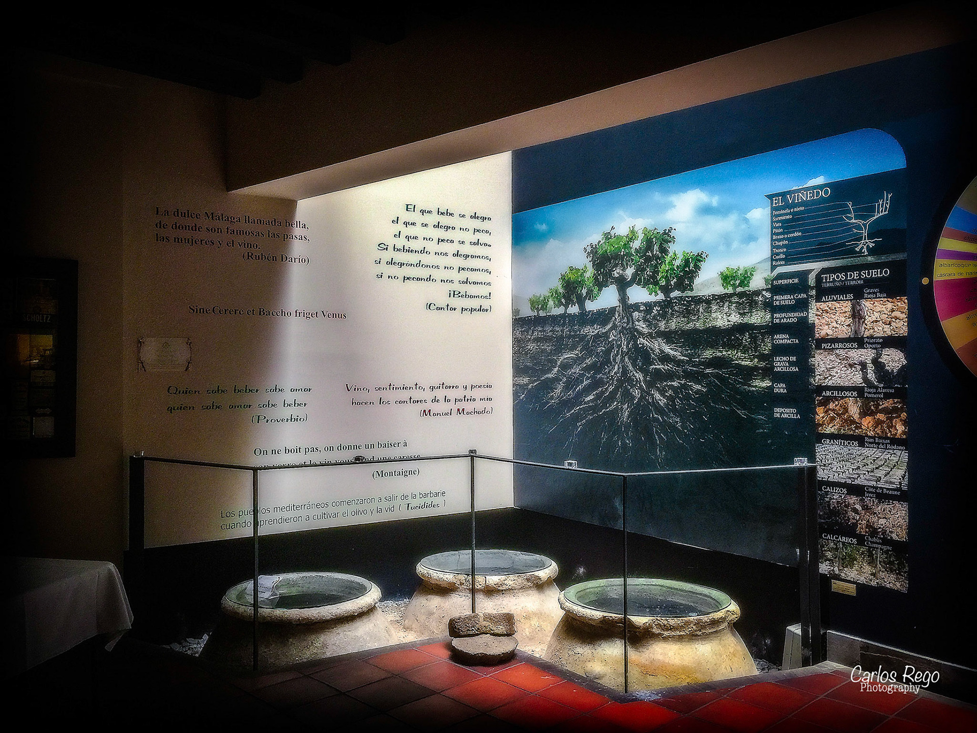 Los patios de beatas  se encuentran en el corazón del centro histórico de Málaga, a tan solo 50 metros del museo Picasso. La calle Beatas es una vía emblemática de la ciudad, hemos rehabilitado dos casas, una del S.XVIII y otra del S.XIX ambas protegidas arquitectónicamente por su belleza , valor histórico así como por sus patios interiores  Calle Beatas, 43, 29008 Málaga, España  Las Tinajas