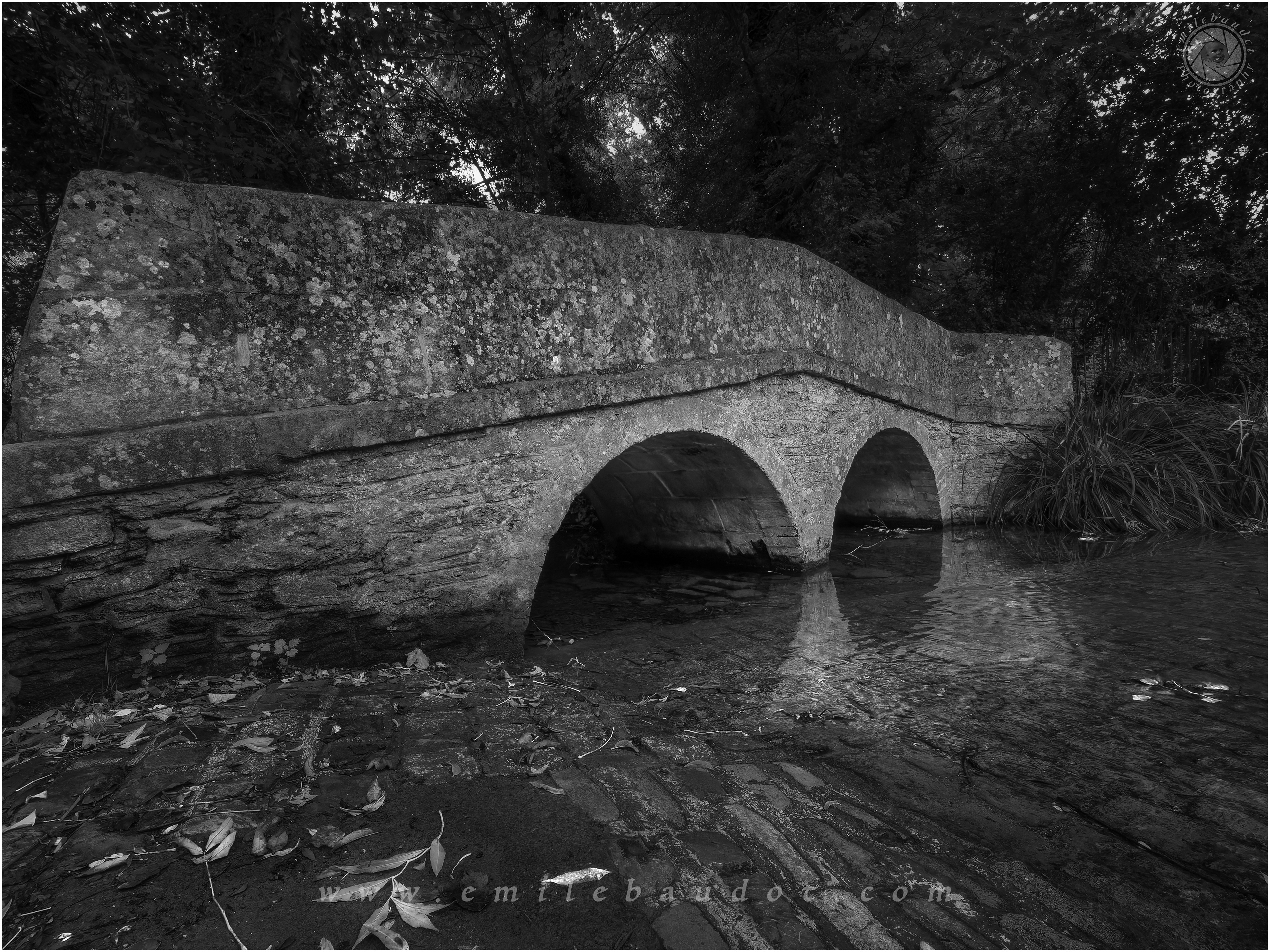 River Avon, Lacock