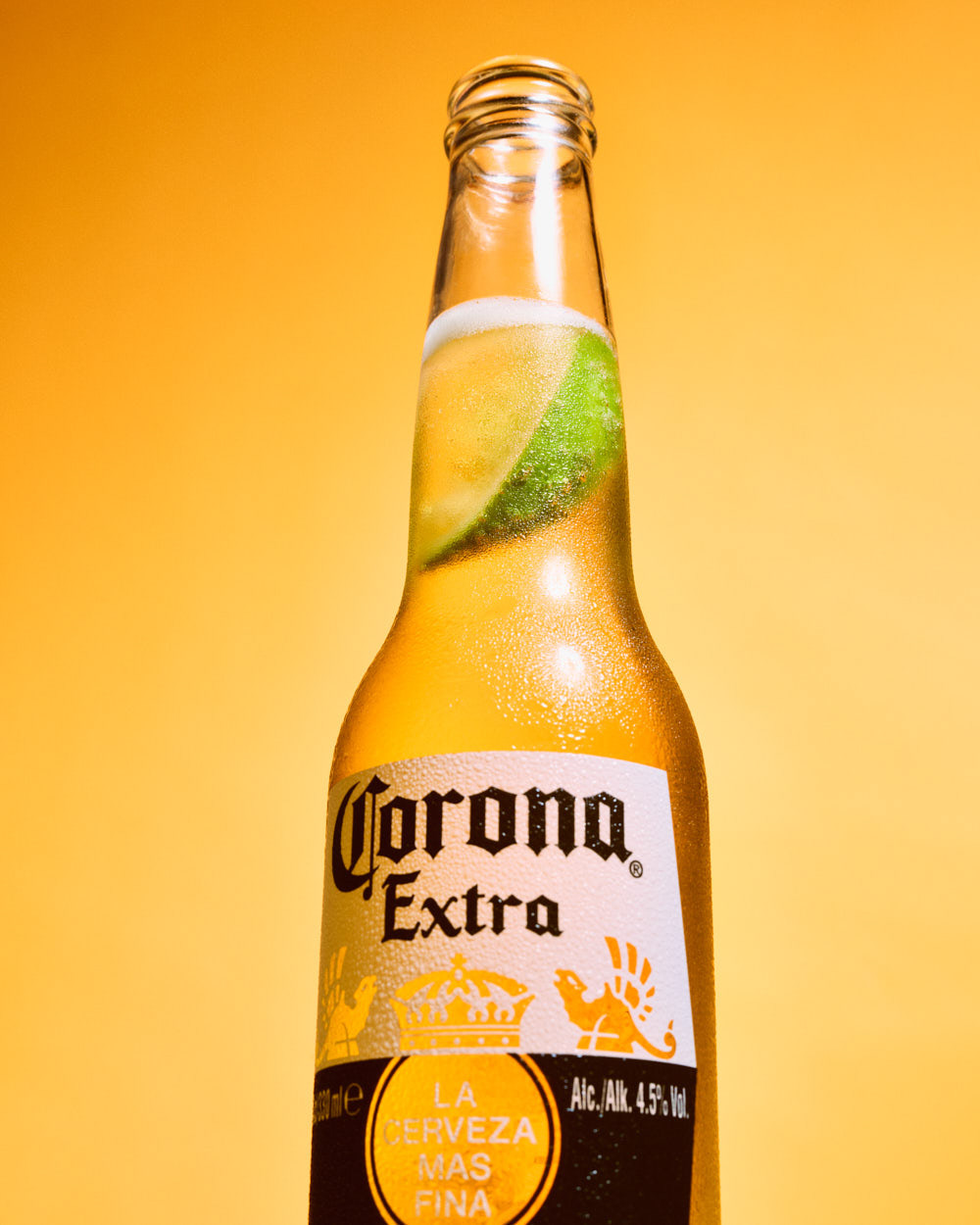 Spec work for Summer Corona