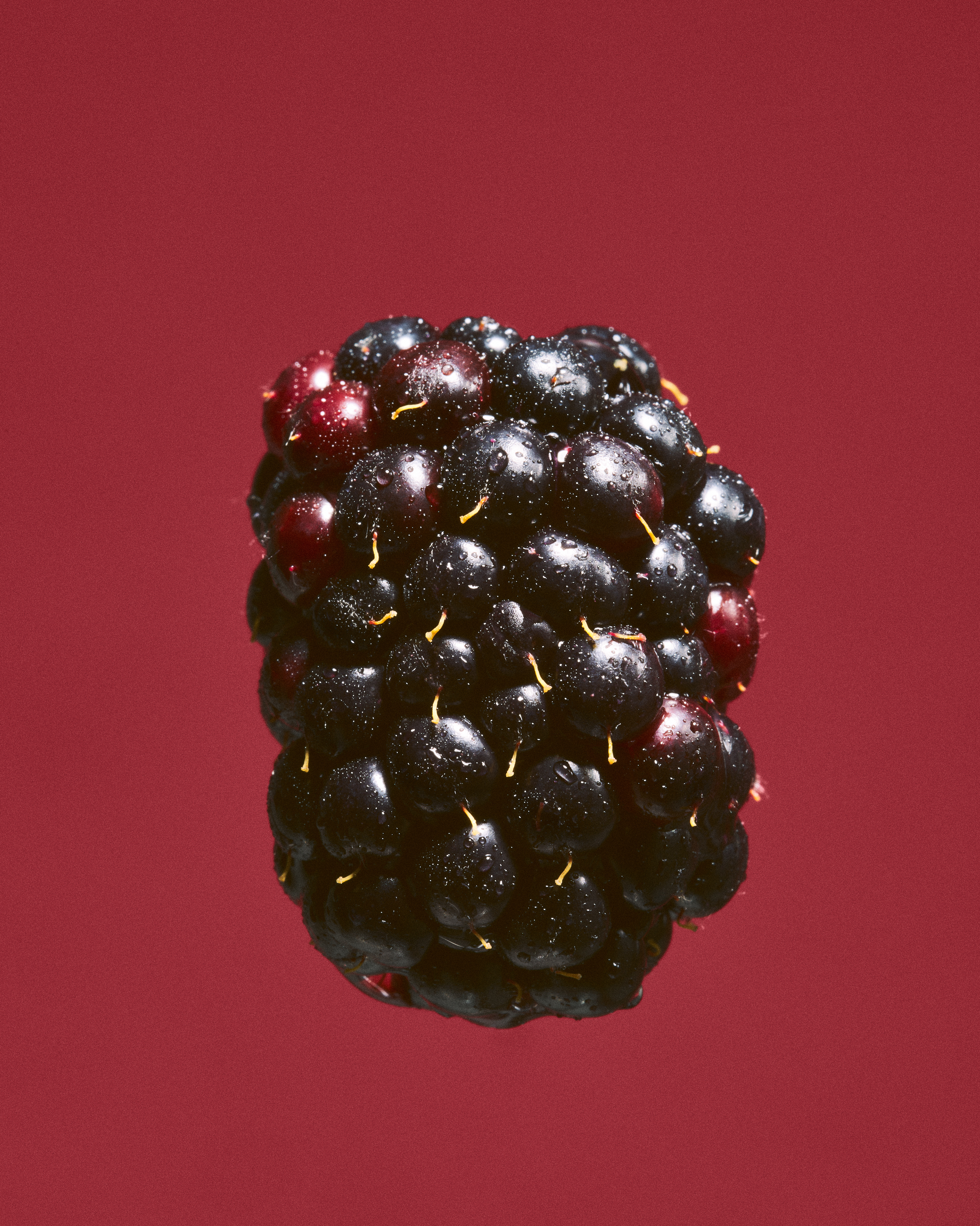 From the series 'tasting color'