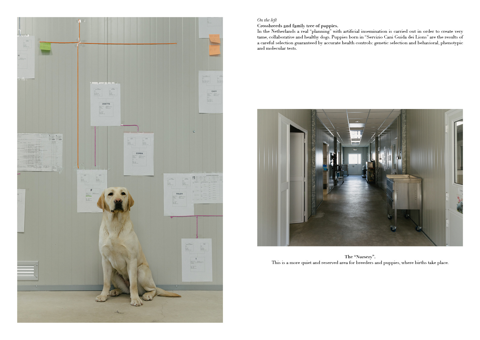 © Camilla Calato Photography. Documentary project Through your eyes.
