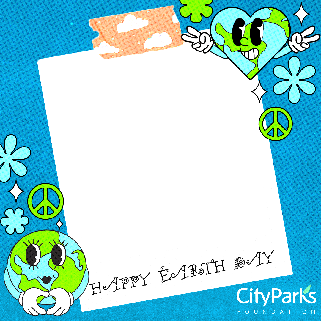 Social Frame