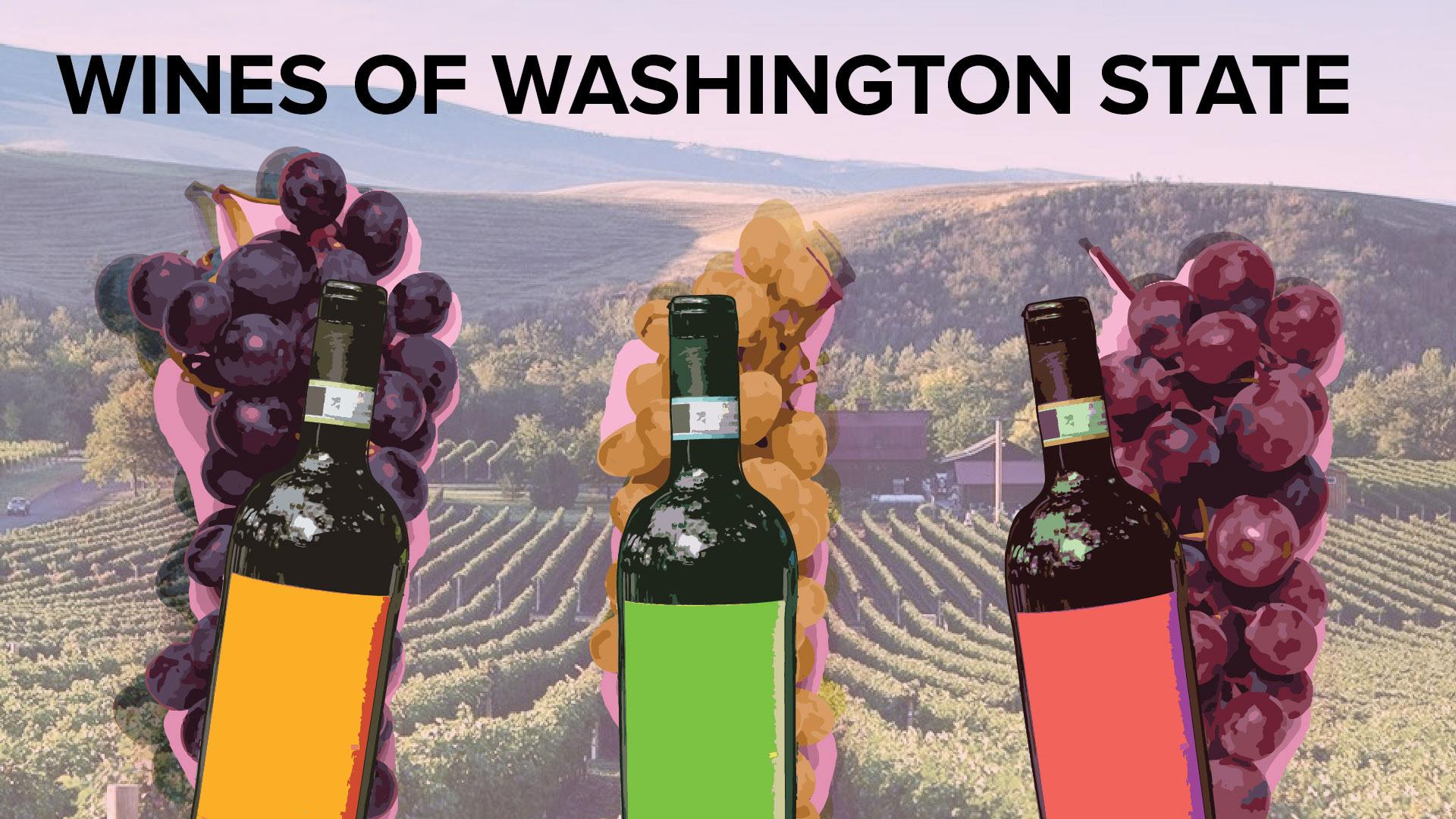 Wines of Washington State | 1920x1080