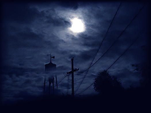 Title: Siren Night | Digital - 2022